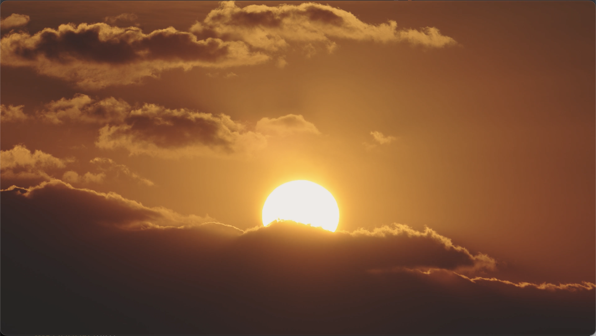 Home mobile fallback.png