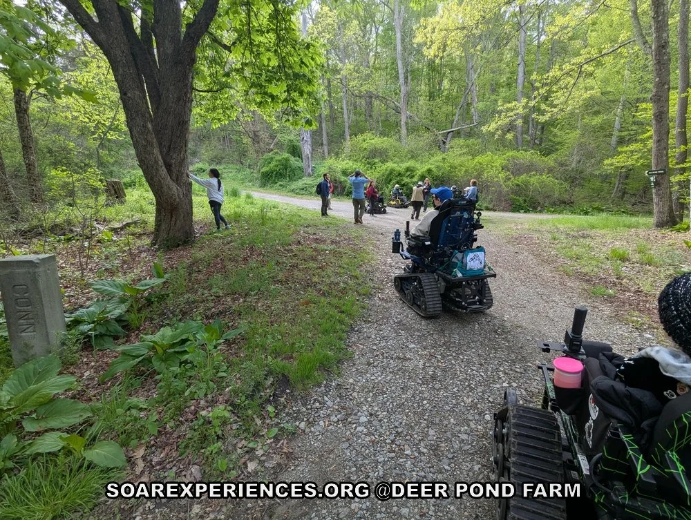 PXL_20260515_202556777_wm.jpg
