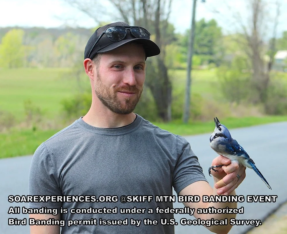 Matt Blue Jay 3_wm.jpg