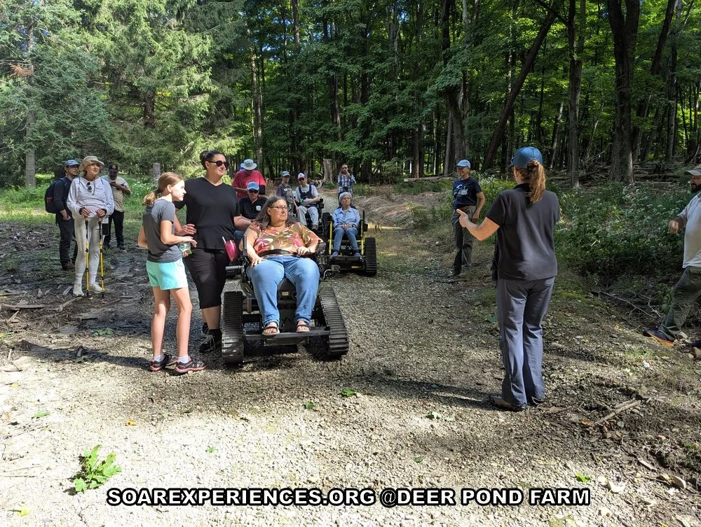 PXL_20260910_144630885.MP_wm.jpg