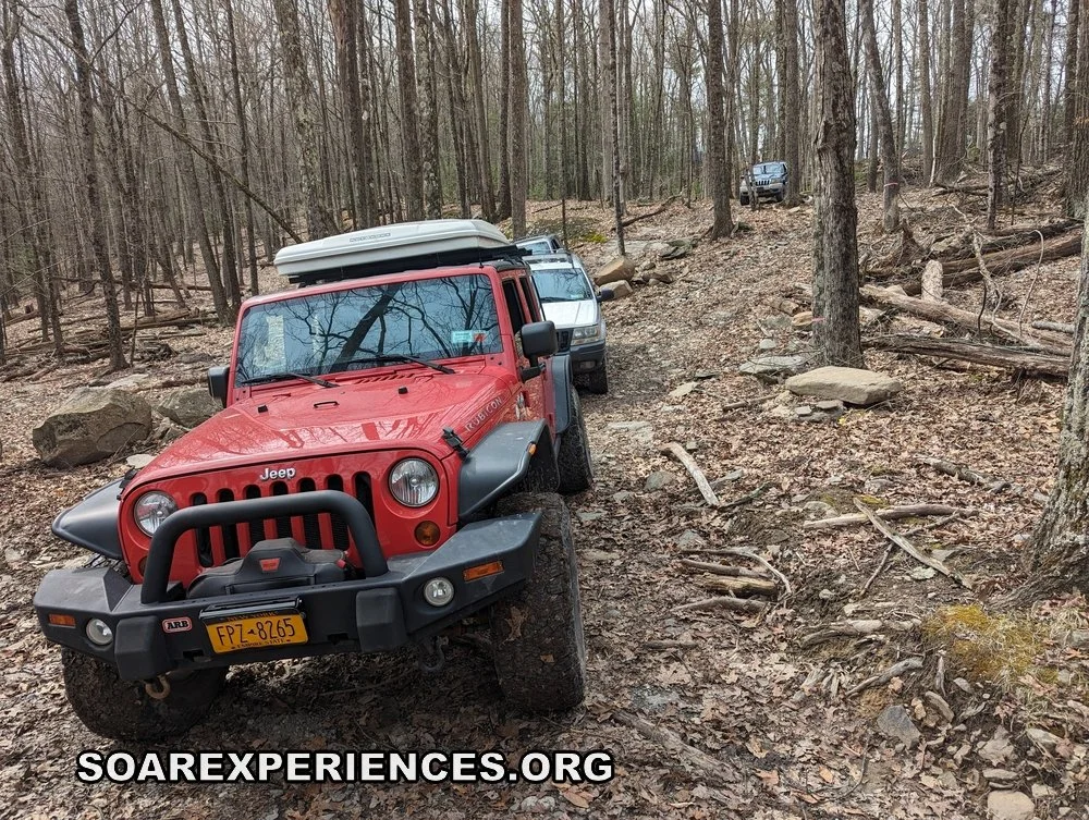 PXL_20240315_172414159_wm.jpg
