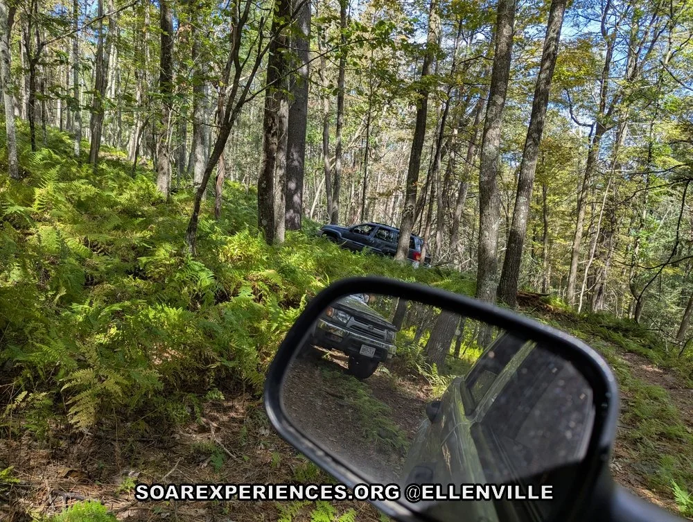 PXL_20260923_173845687.MP_wm.jpg