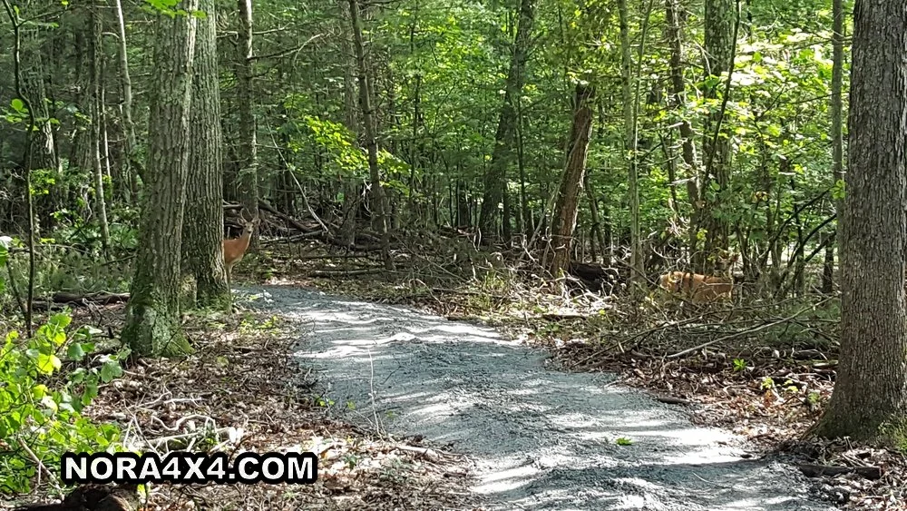 2019-08-09 09.35.57_wm.jpg