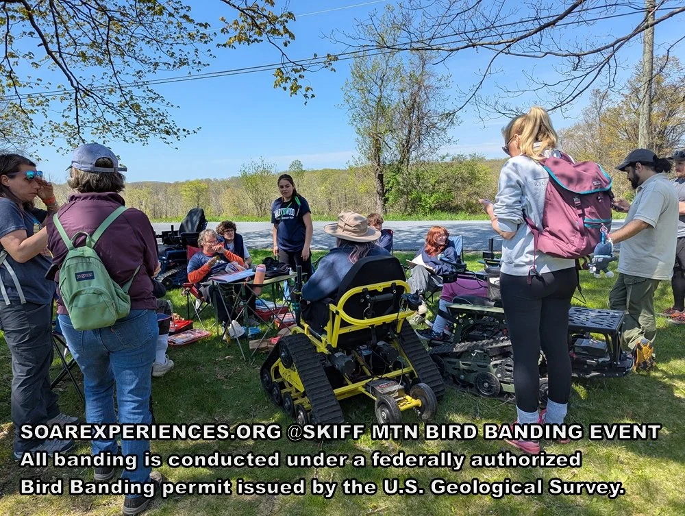 PXL_20260505_145735106.MP_wm.jpg