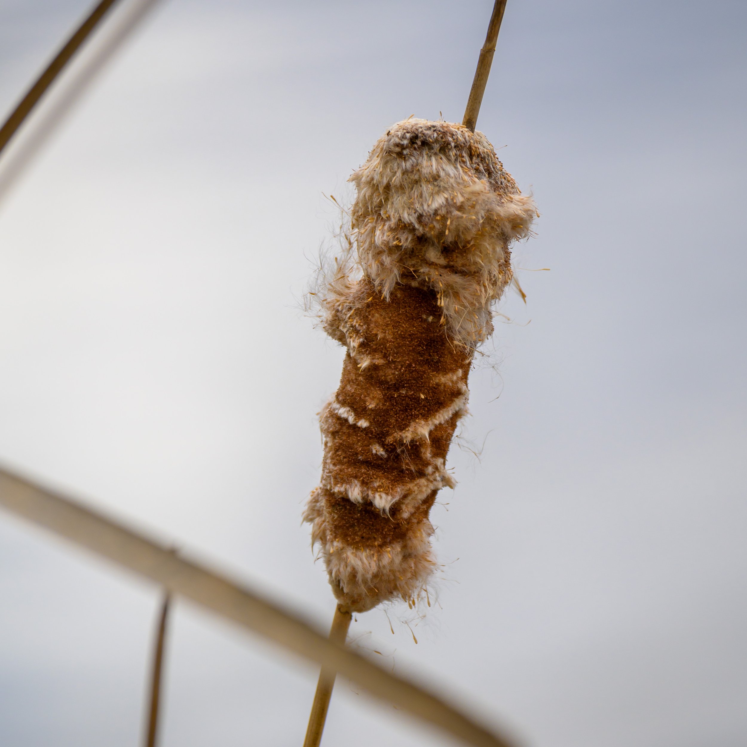 Nature-095.jpg