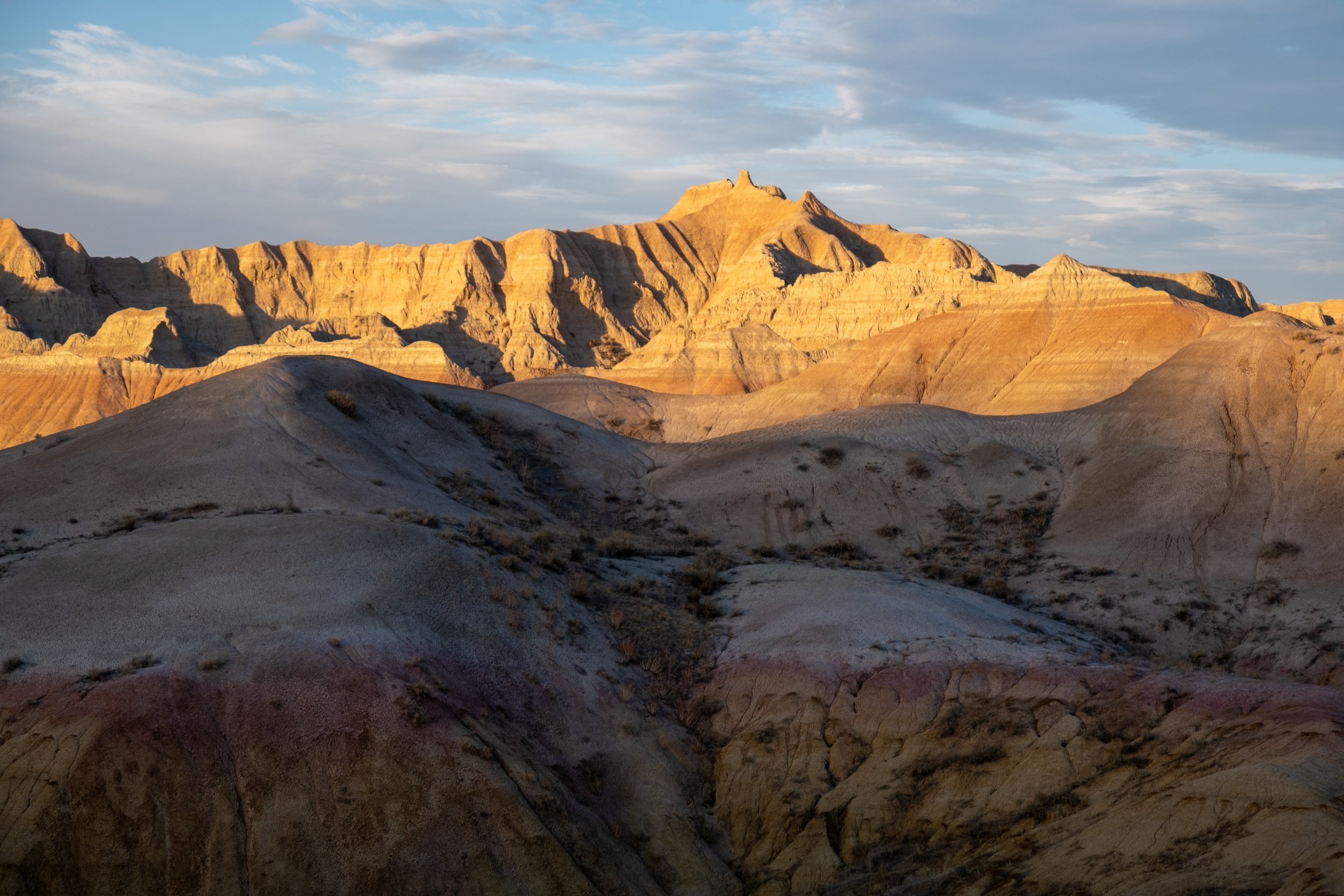 Nature-160.jpg