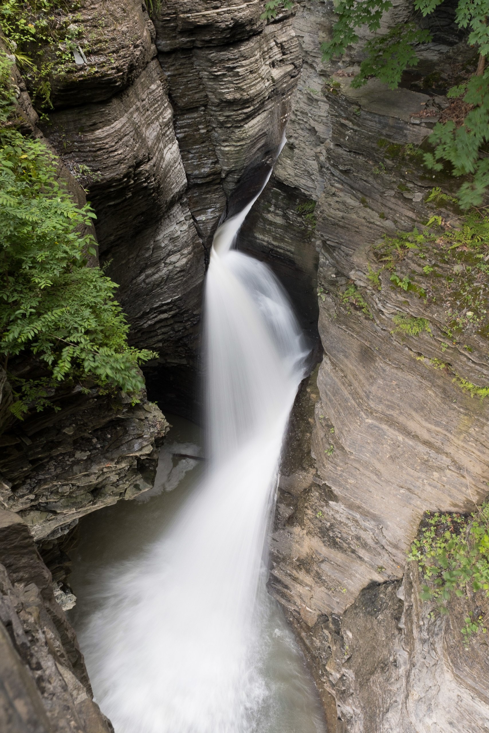 Nature-179.jpg