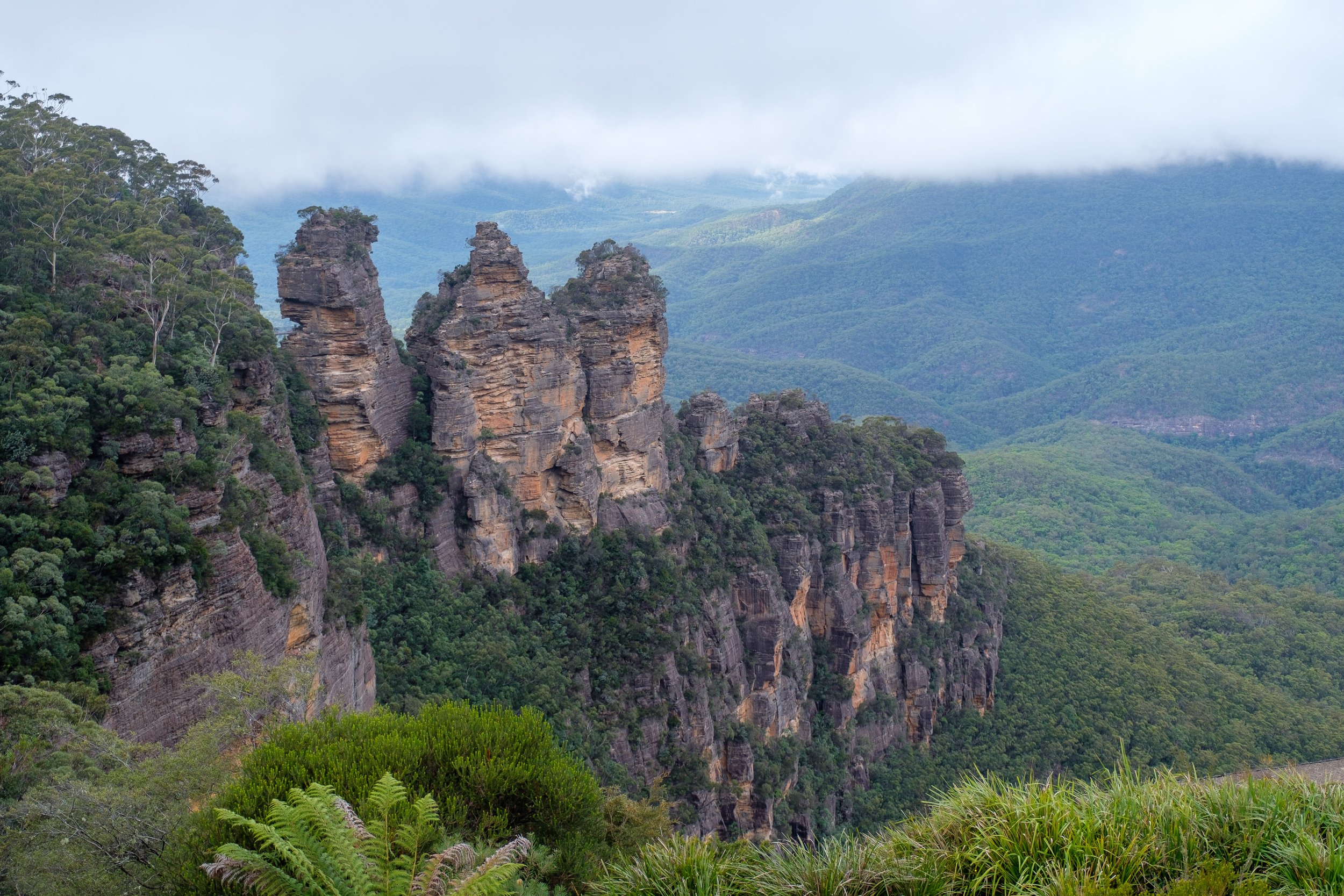 Nature-137.jpg