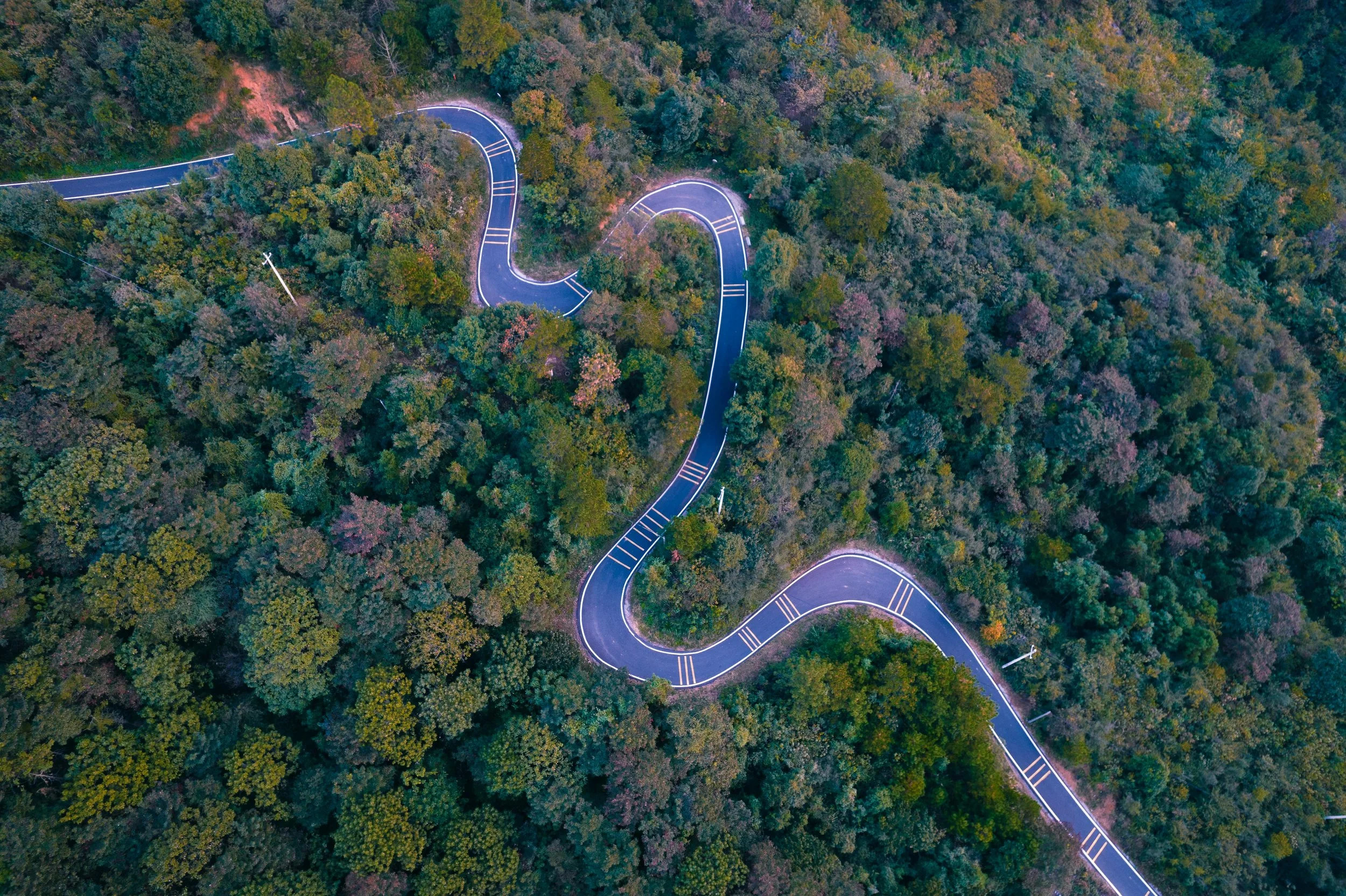 What is a Transition Plan?