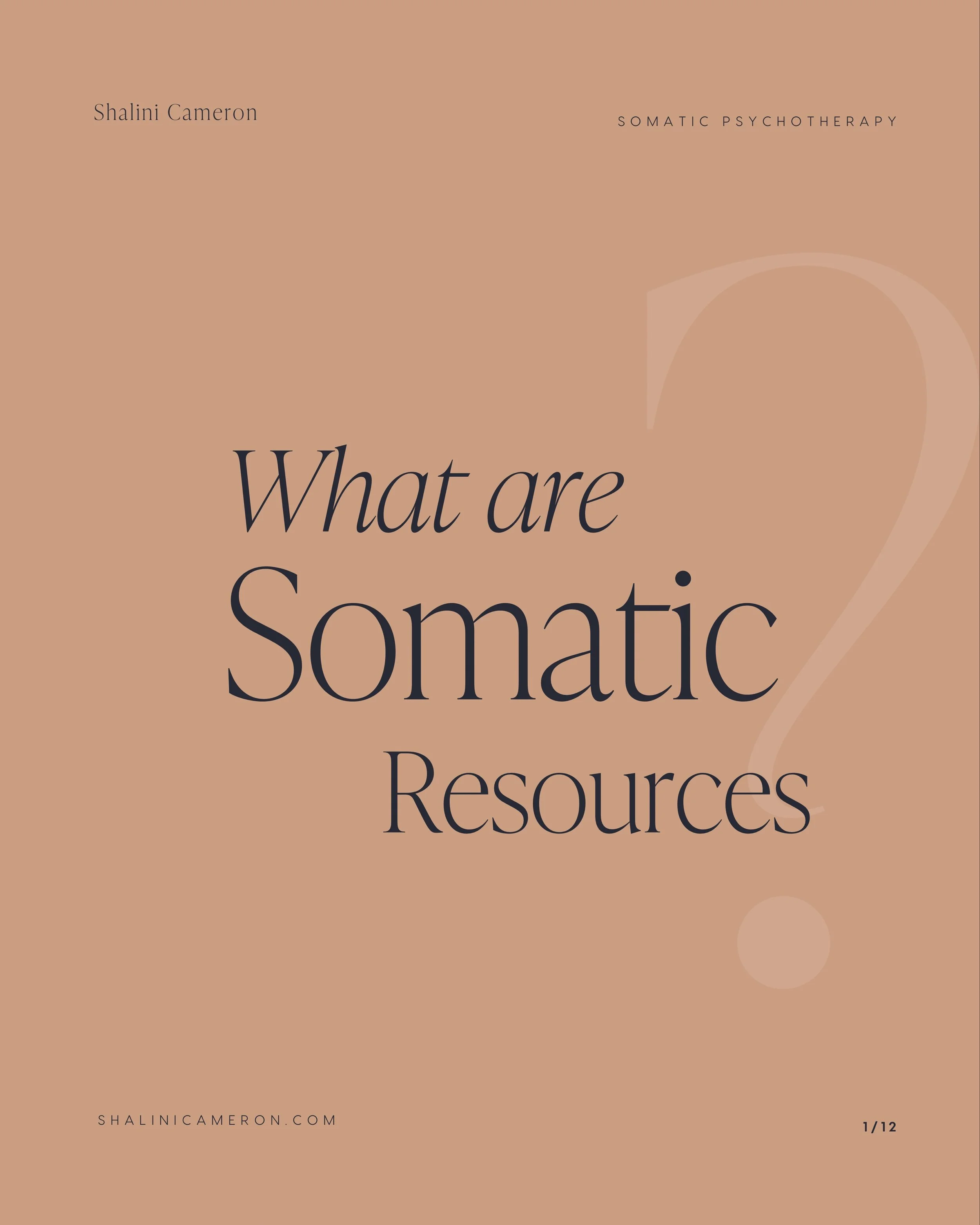 What is a Somatic Resource? 💫

A somatic resource is a body-based anchor or practice that helps regulate our nervous system and create feelings of safety, stability, or comfort.

It&rsquo;s something we can physically feel or do with our body that h