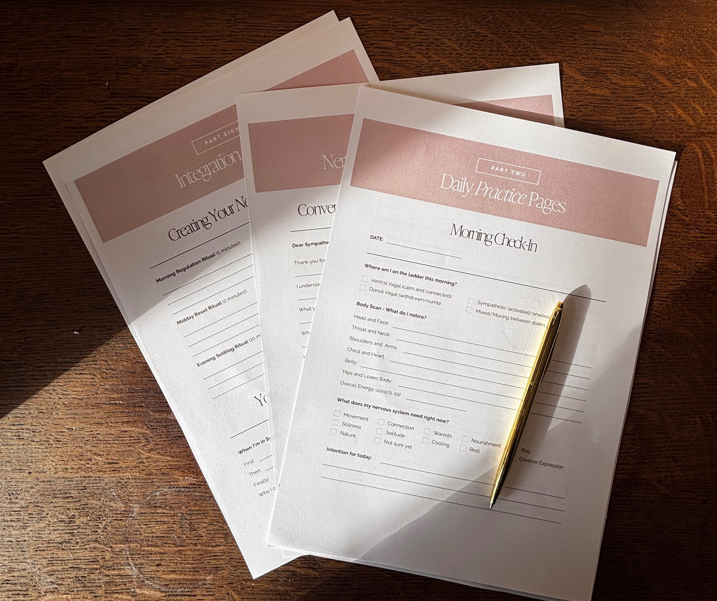 Copy of Class 1 The Nervous System Map-7.png