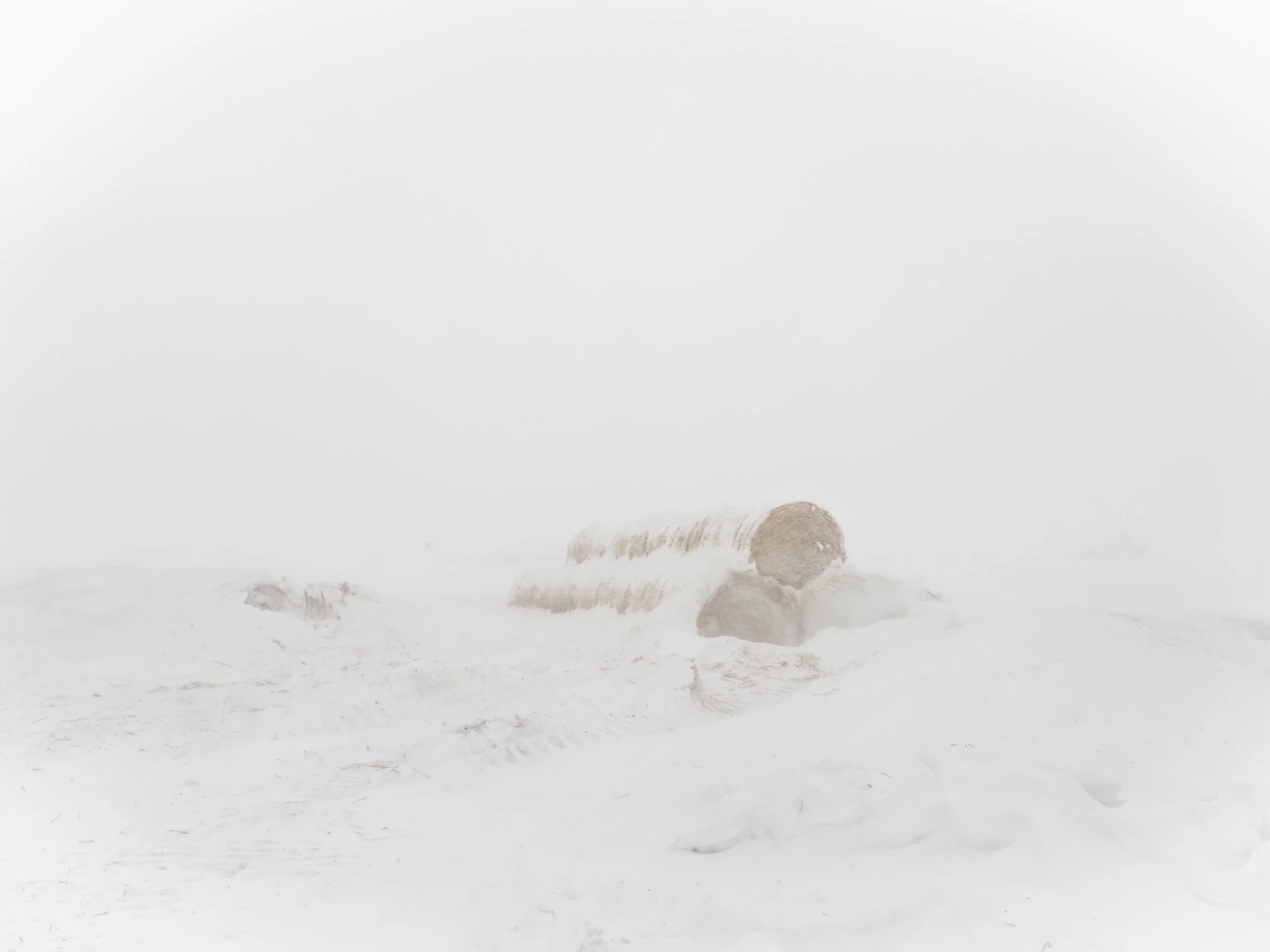 10_Angela Boehm_DSCF1064.jpg