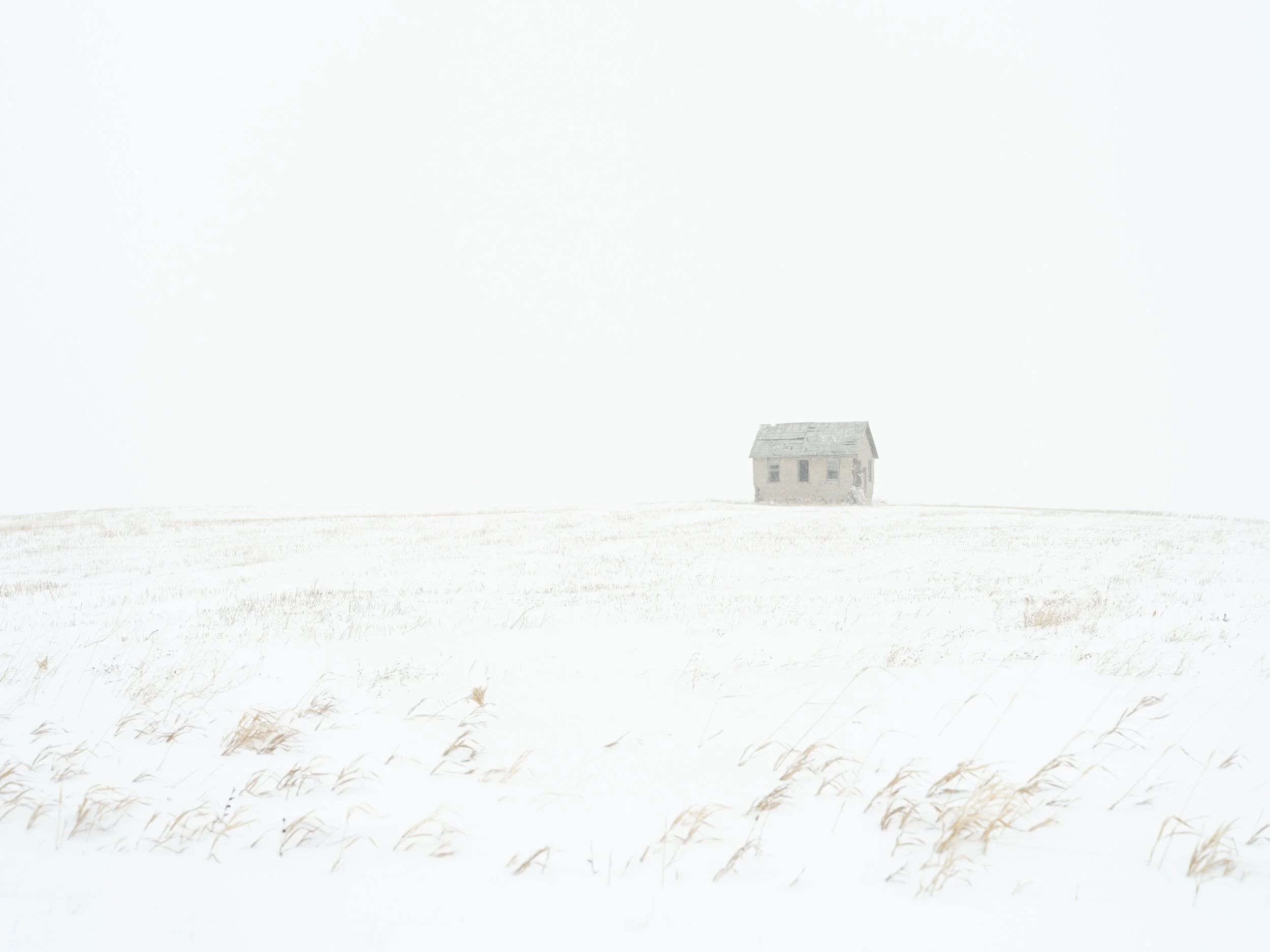 14_Angela Boehm_DSCF5133.jpg