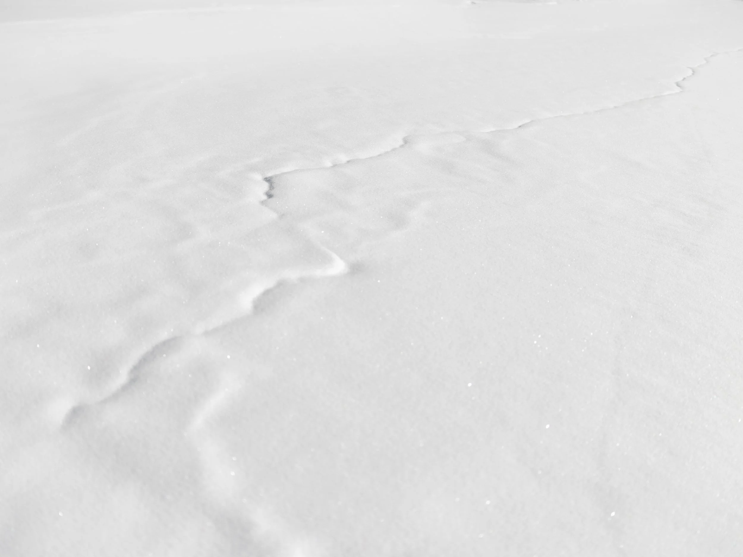 8_Angela Boehm_DSCF3611.jpg