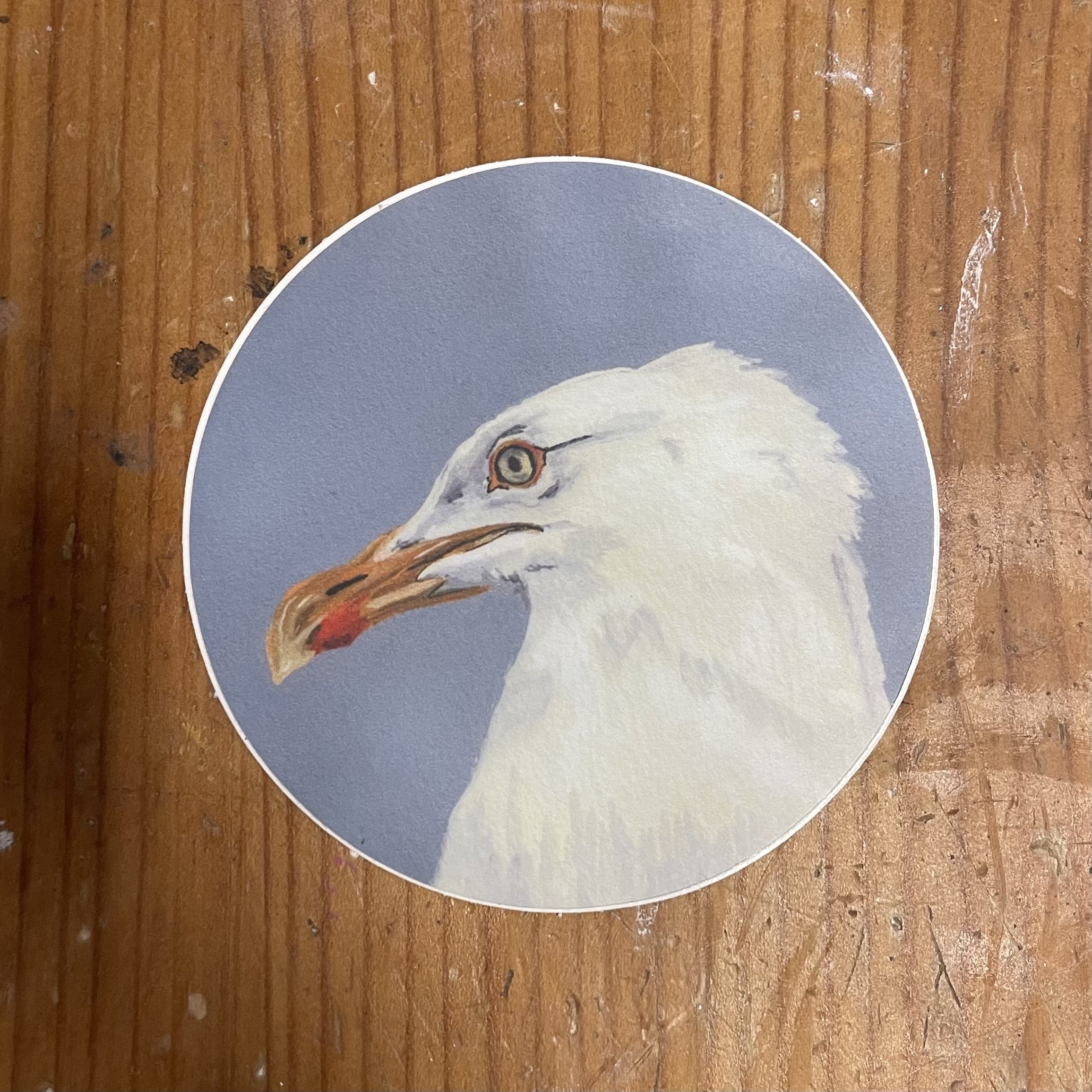Herring Gull Sticker