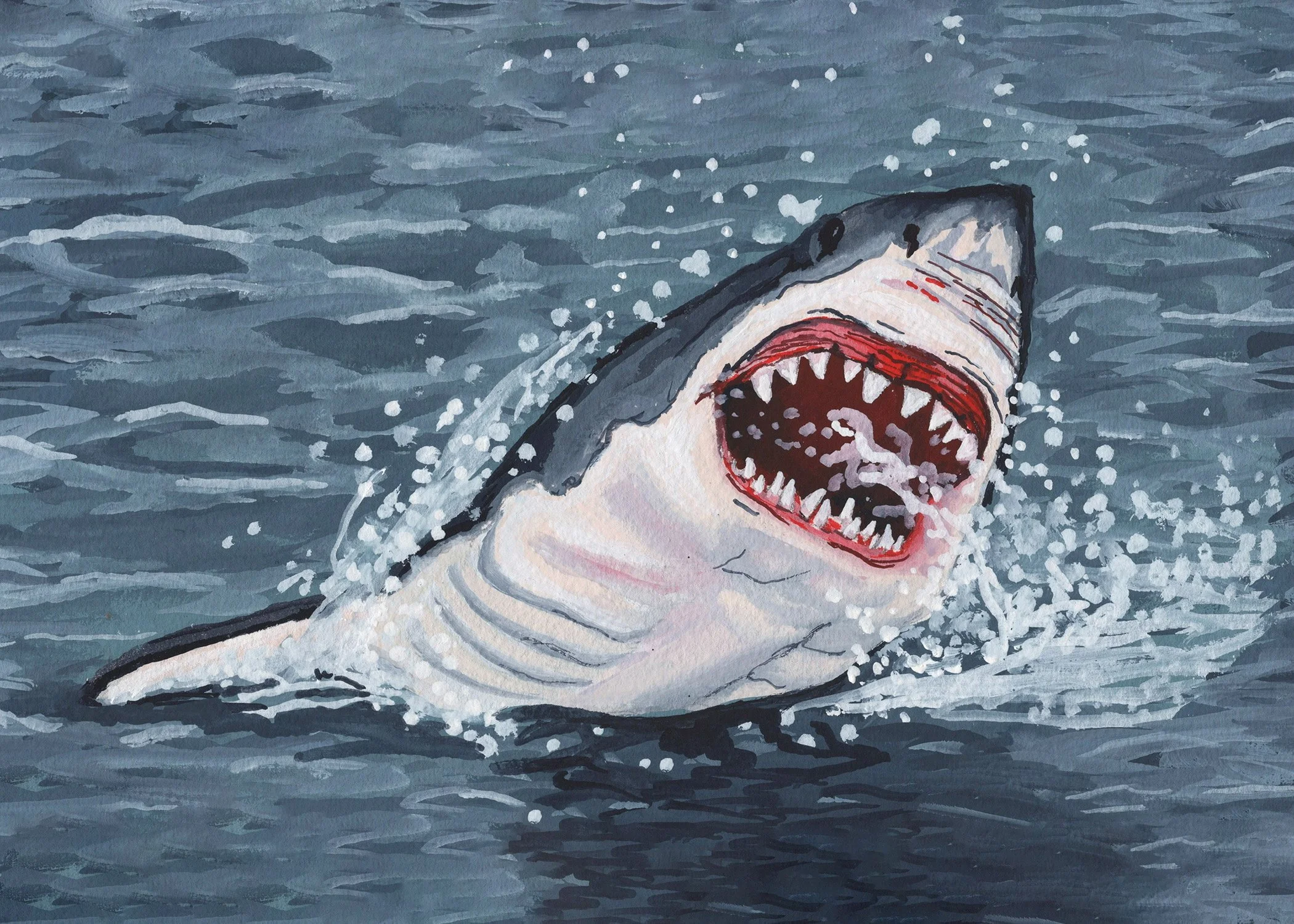 Great White Shark Print