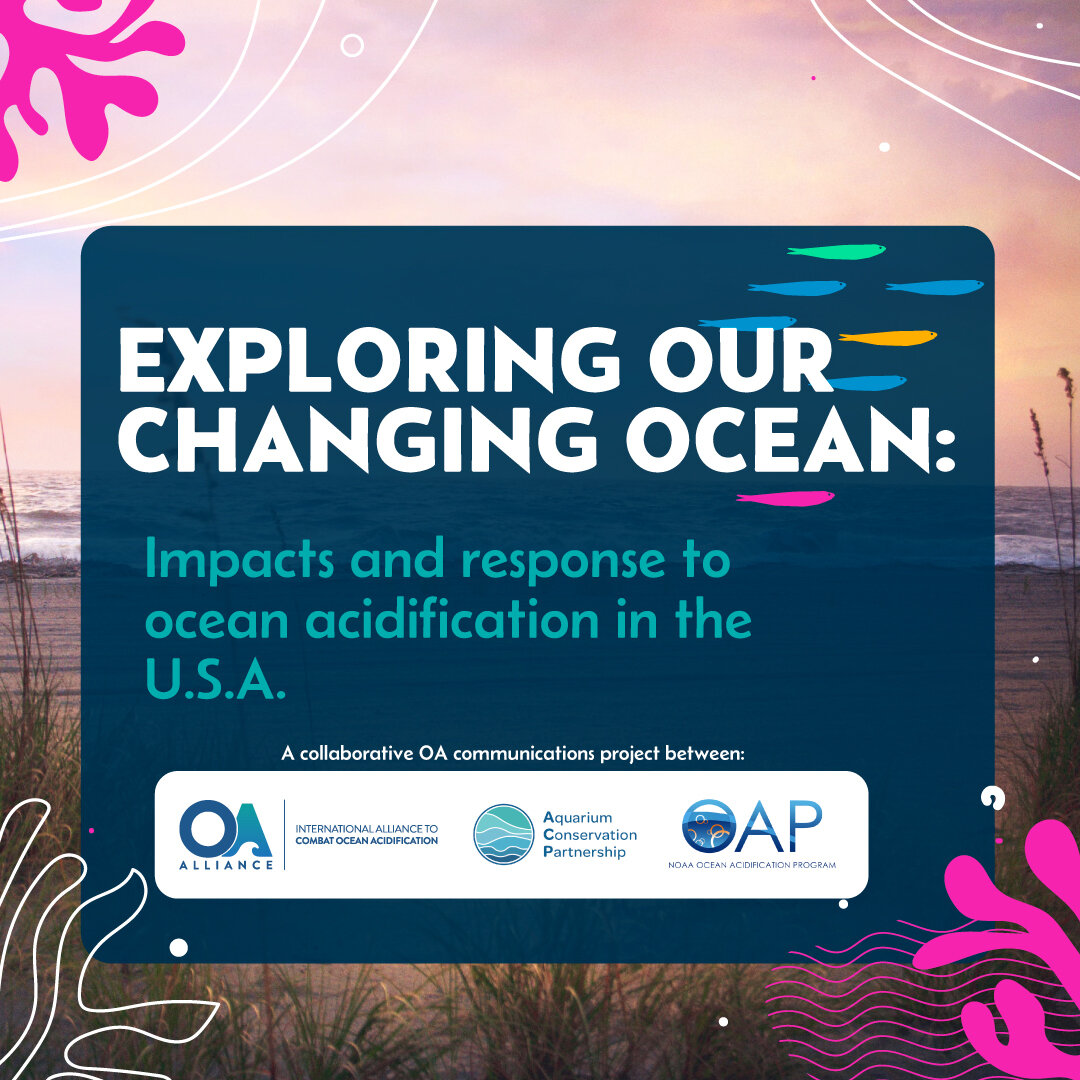 To celebrate OA Day of Action ACP, OA Alliance, and NOAA&rsquo;s Ocean Acidification Program are launching: &ldquo;Exploring Our Changing Ocean: Impacts and Response to Ocean Acidification in the US&rdquo; - 6 StoryMaps showcasing OA science, stakeho