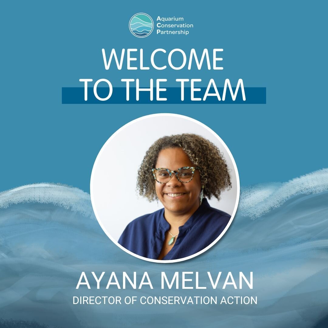 As we bring in the New Year, ACP is thrilled to announce the latest addition to our team - Ayana Melvan, who will join as the new Director of Conservation Action! 🎉

In her role, Ayana will be responsible for strategic partnerships, policy, and advo