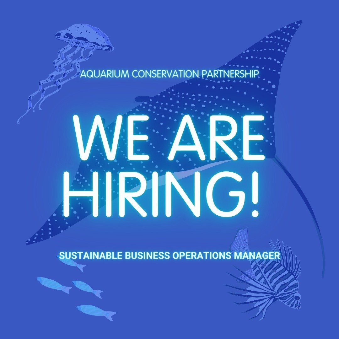 ICYMI: ACP seeks a highly creative and skilled individual to serve as our first Sustainable Business Operations Manager. The Sustainable Business Operations Manager is an integral member of ACP&rsquo;s team advancing our joint sustainable business co