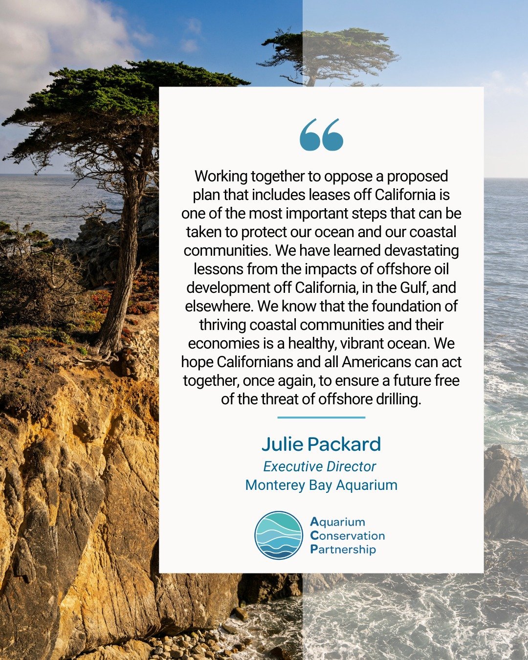 Aquariums and zoos rooted in coastal communities are raising the alarm: more offshore drilling threatens the wildlife we protect, the coastlines we help restore, and the communities whose livelihoods depend on a healthy ocean.

With the development o