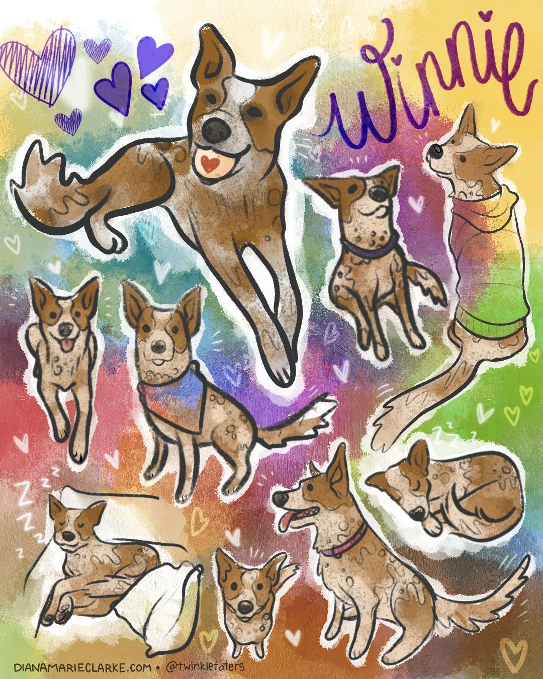 Winnie.jpg