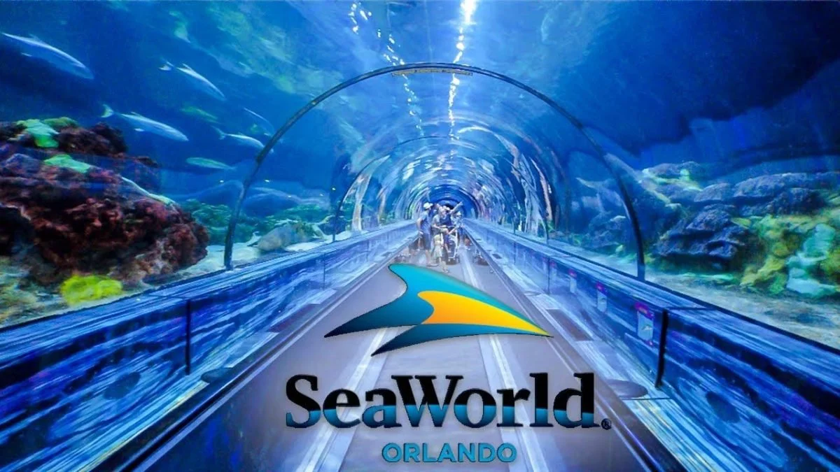 Underwater tunnel at SeaWorld Orlando, with aquatic life visible around and a family riding a roller coaster through the tunnel.