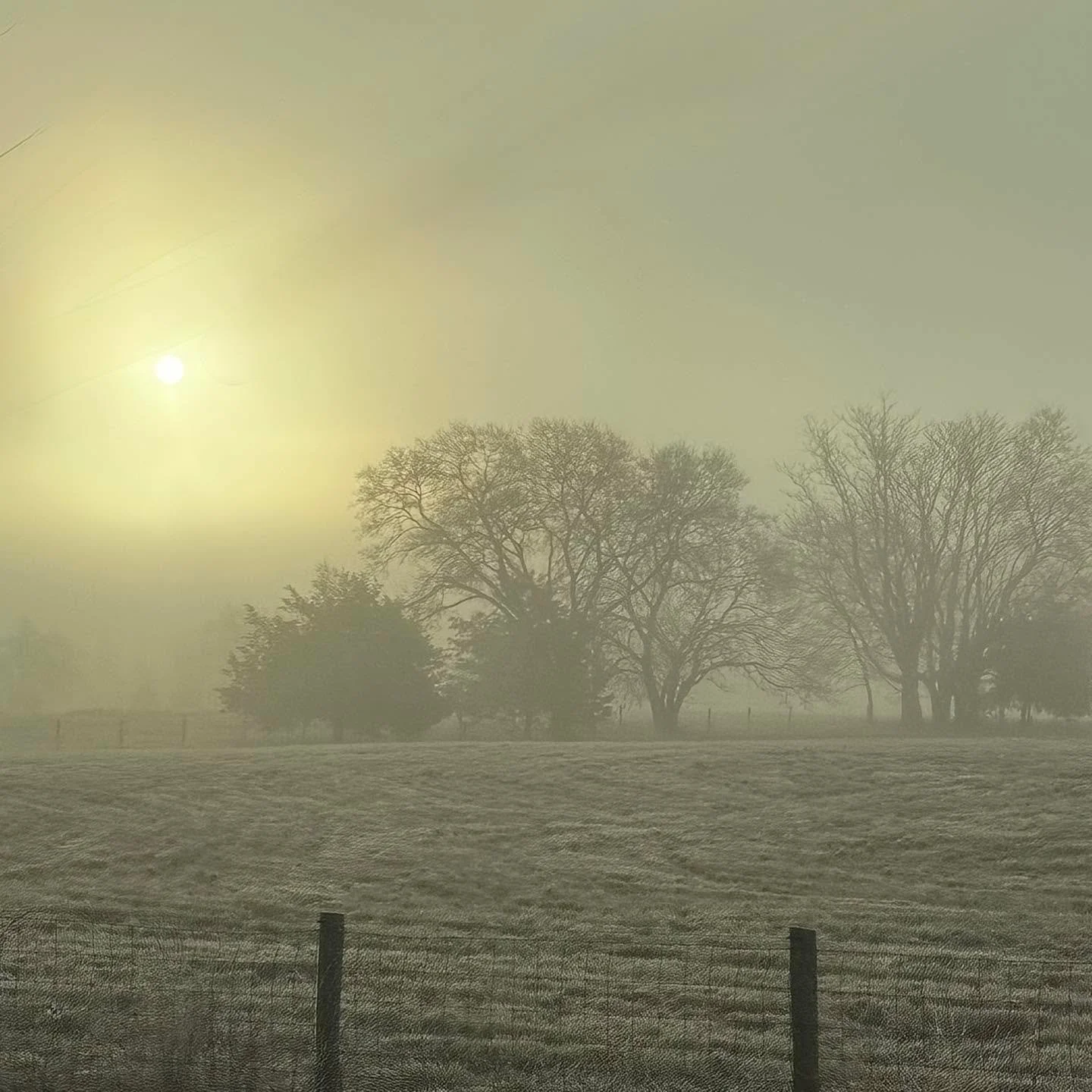 Once upon a foggy morning&hellip; 
We set out for our final market day of the year. I&rsquo;m a little banged up (cuz, guys, sometimes people are so mean) and excited (cuz I love connecting with customers). We&rsquo;re on our way to wake up the fairi