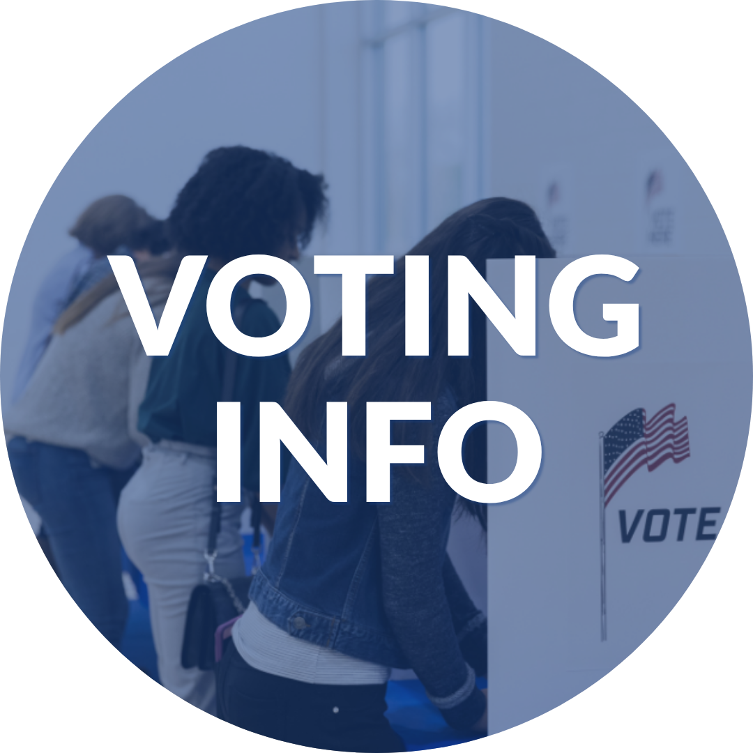 Voting Info, with picture of people voting