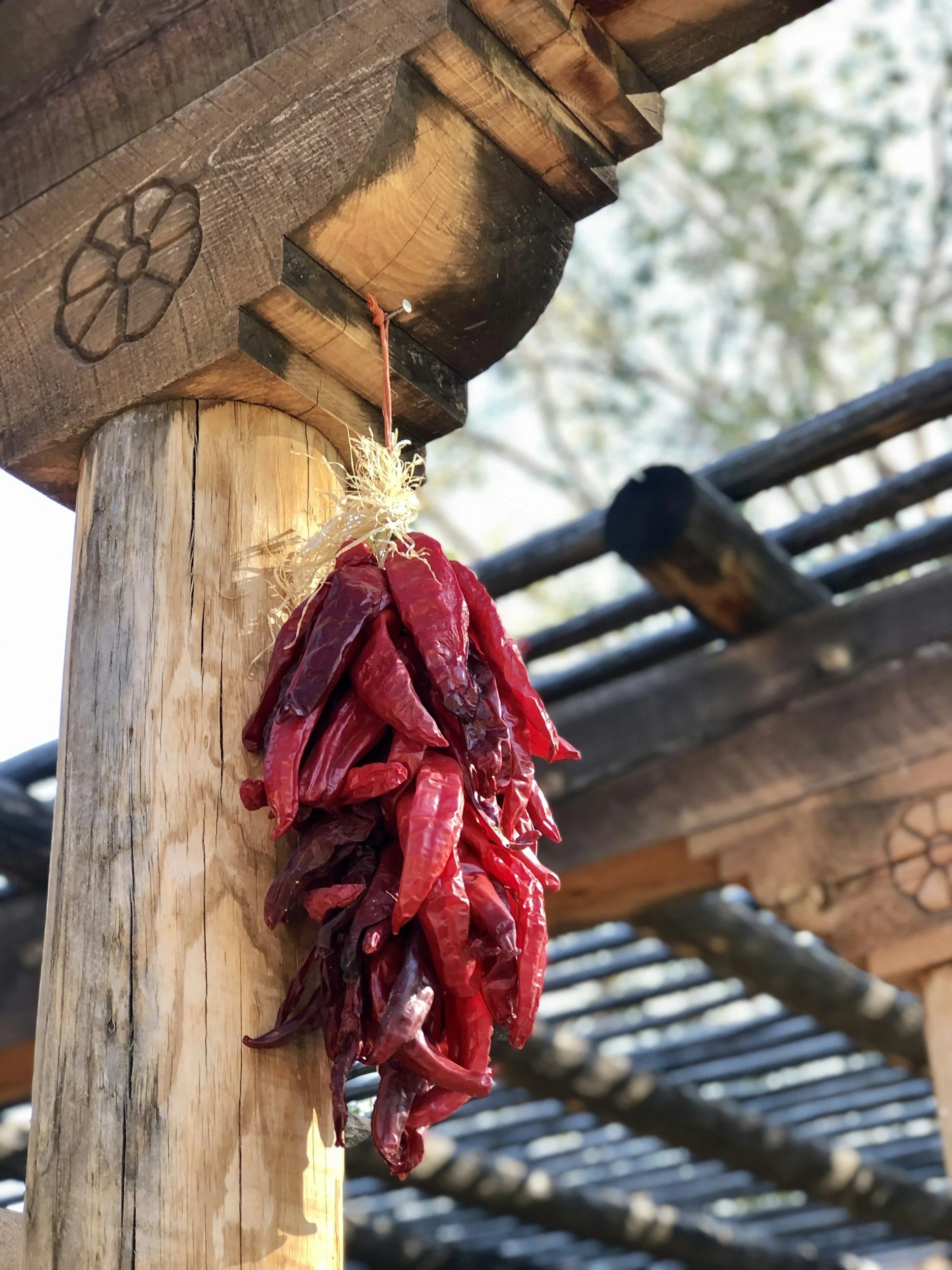 A bundle of red dried chili peppers hanging from a nail on a wooden structure.