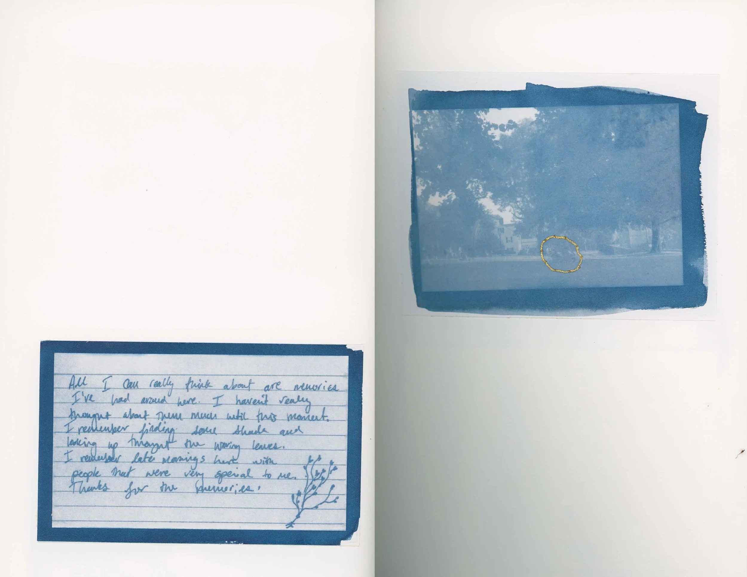 ps_ThisTreeIsOurFriend_Cyanotypes_Final_Page_07.jpg
