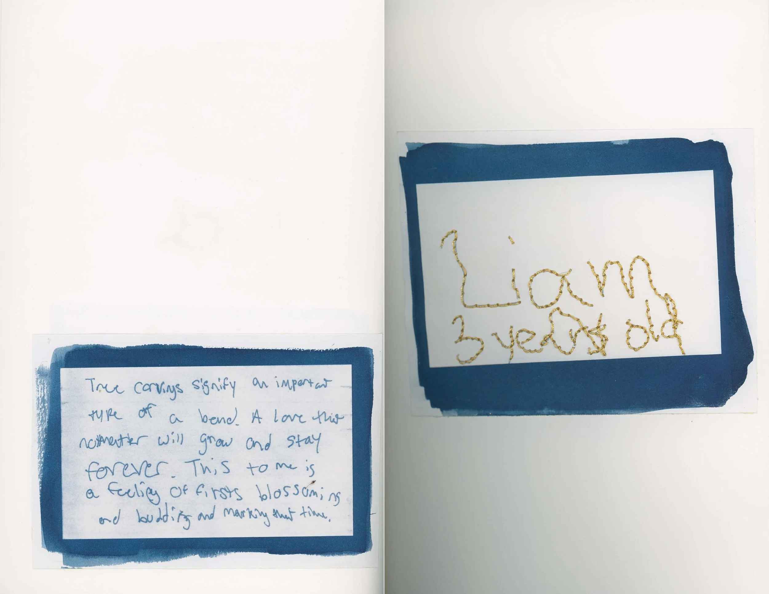 ps_ThisTreeIsOurFriend_Cyanotypes_Final_Page_08.jpg