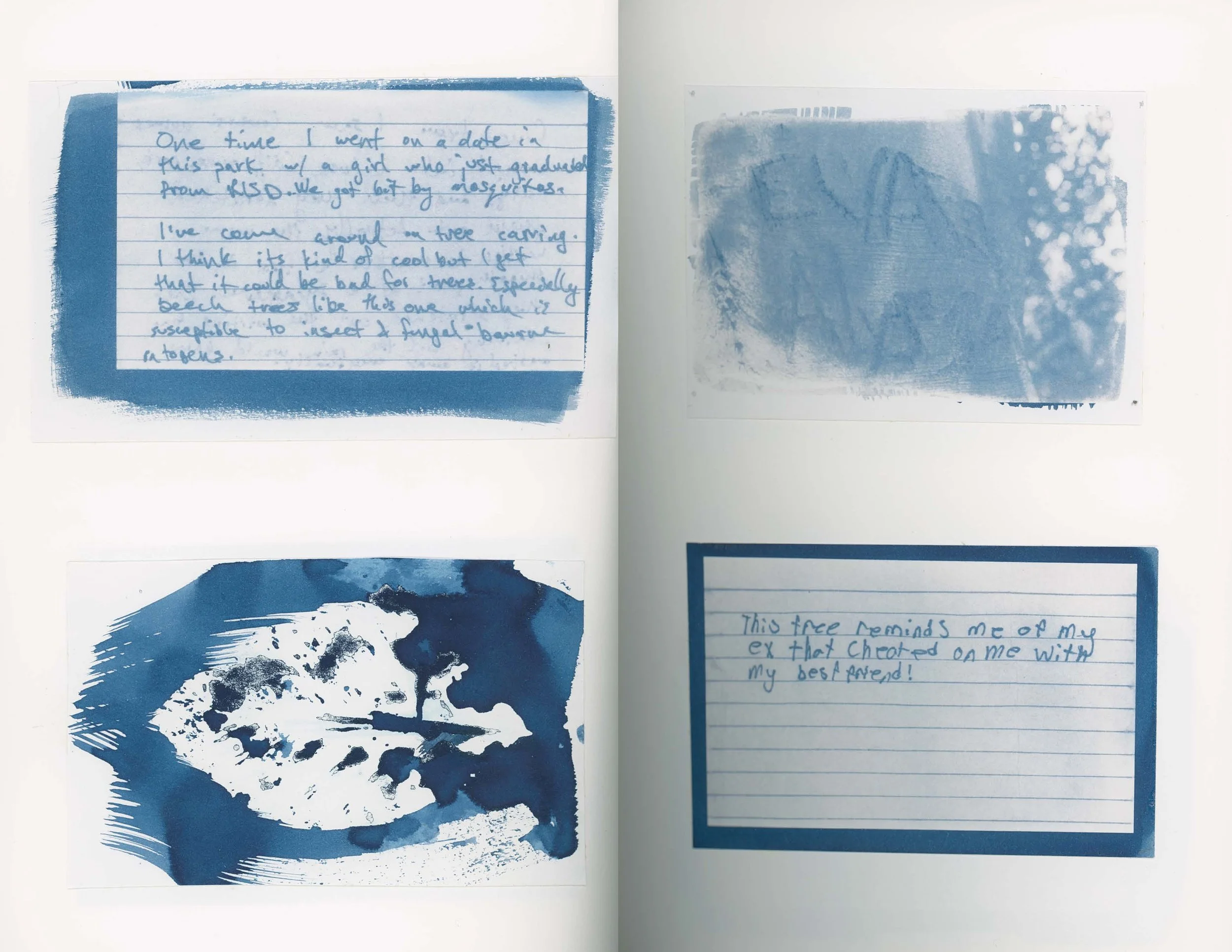 ps_ThisTreeIsOurFriend_Cyanotypes_Final_Page_12.jpg