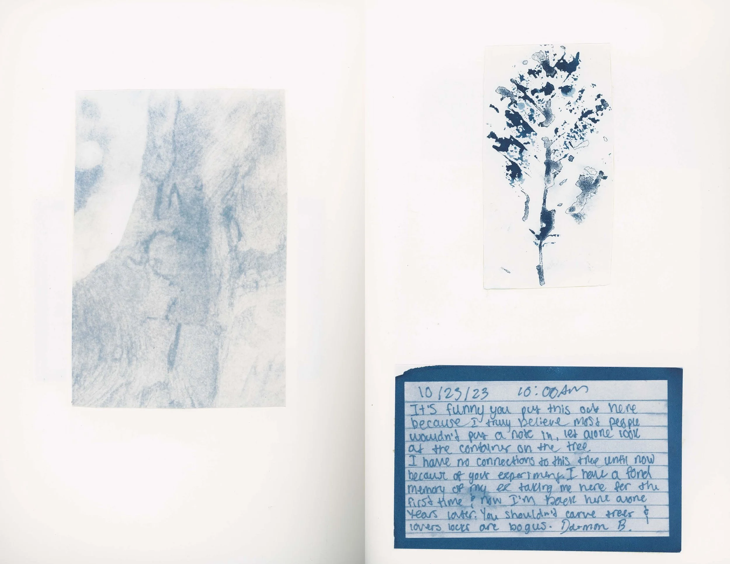 ps_ThisTreeIsOurFriend_Cyanotypes_Final_Page_26.jpg