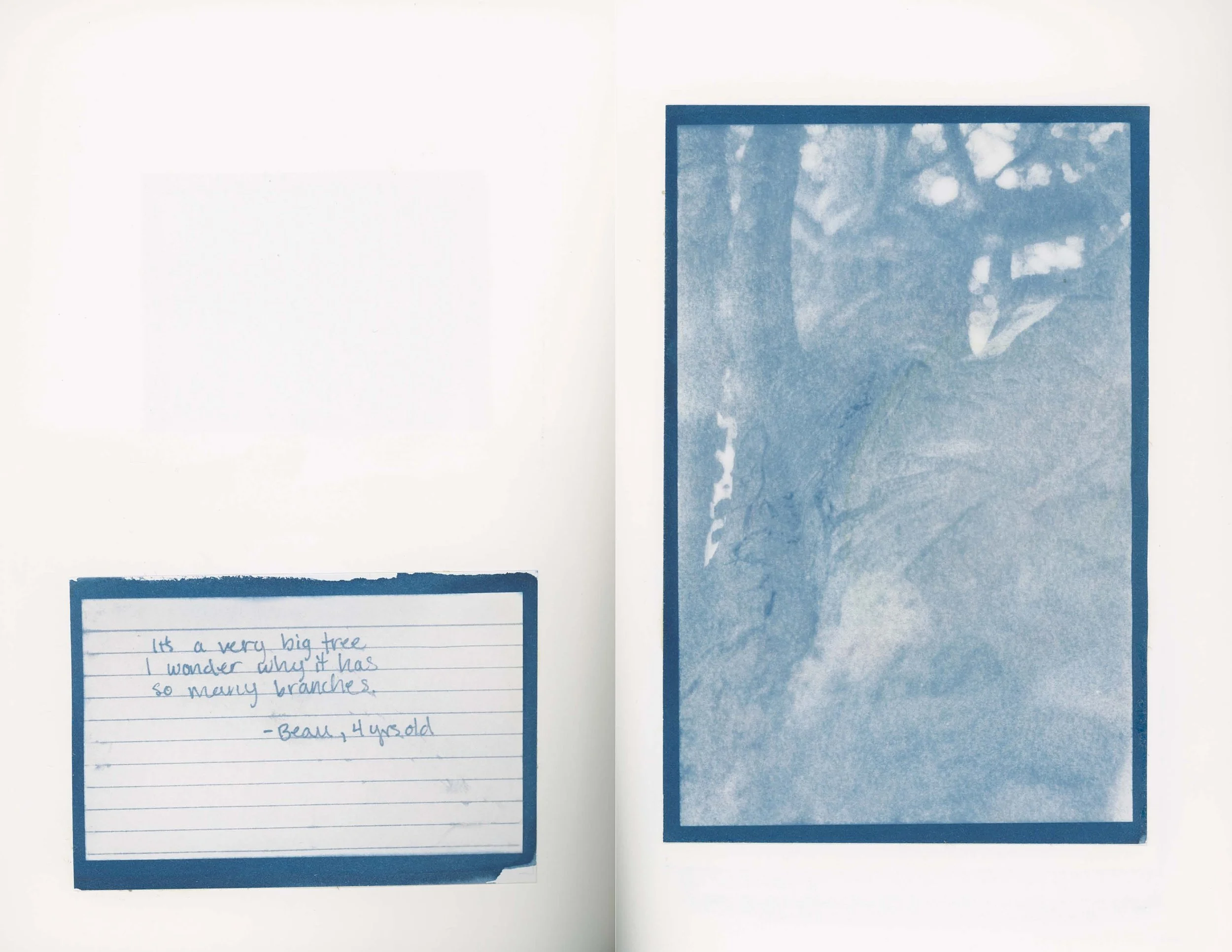 ps_ThisTreeIsOurFriend_Cyanotypes_Final_Page_23.jpg