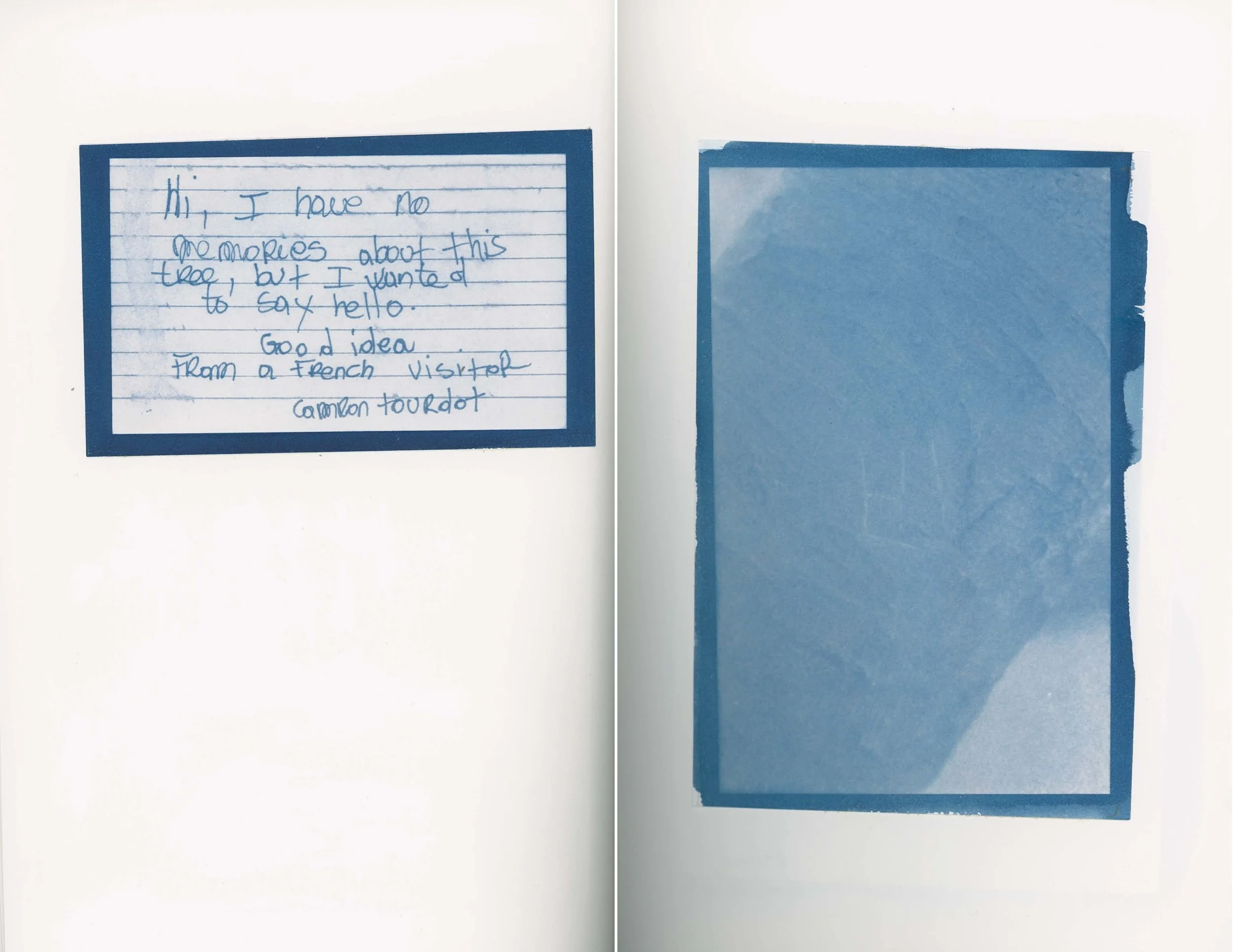 ps_ThisTreeIsOurFriend_Cyanotypes_Final_Page_15.jpg