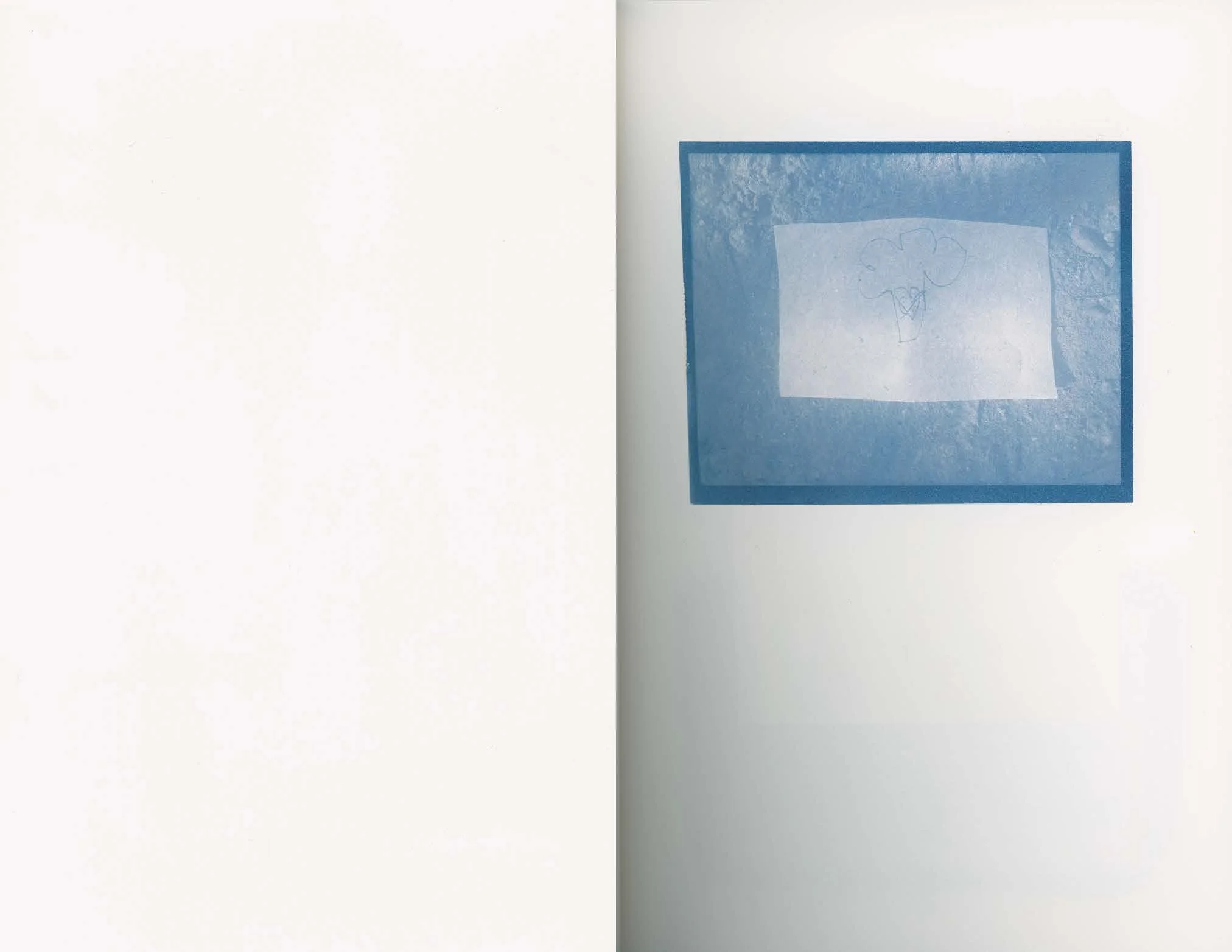 ps_ThisTreeIsOurFriend_Cyanotypes_Final_Page_04.jpg