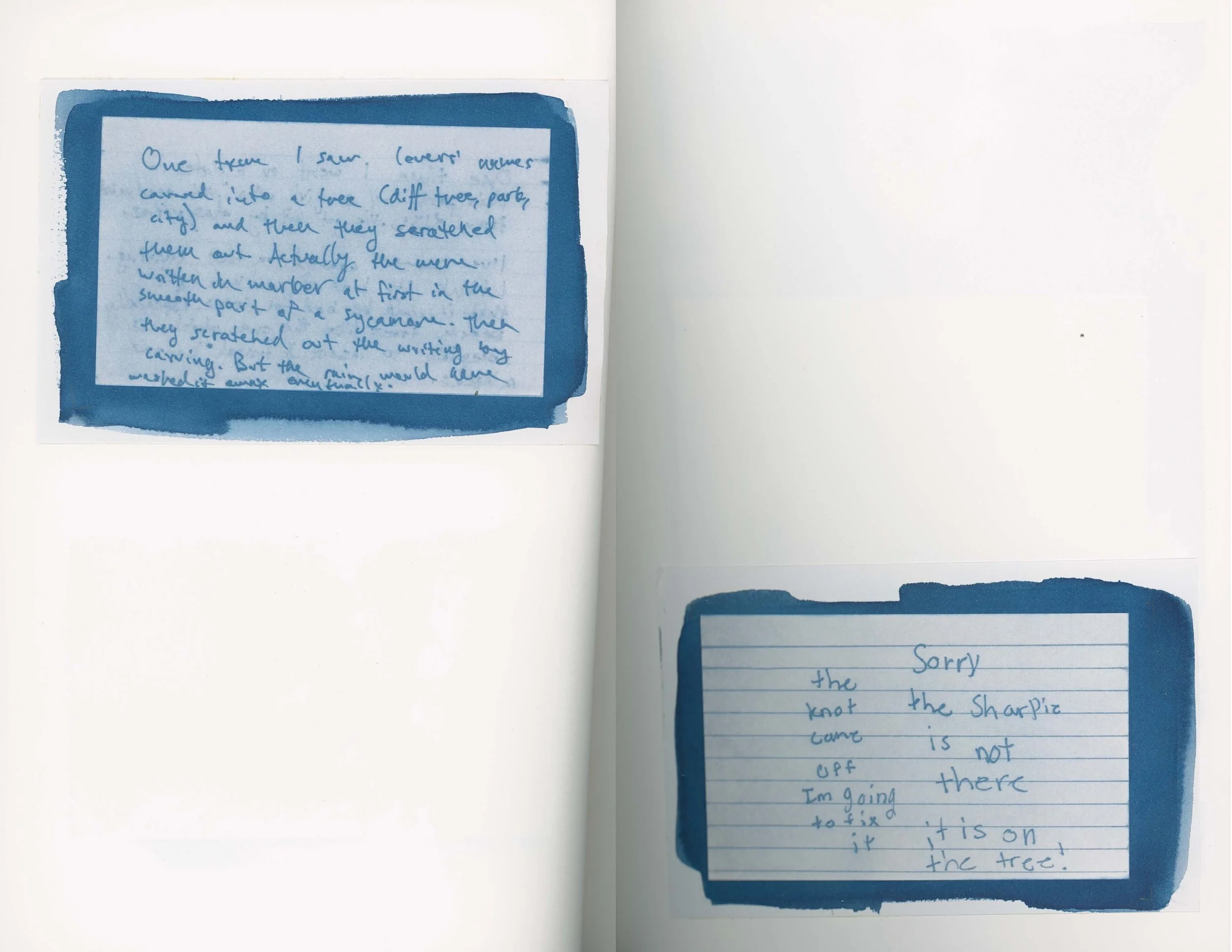 ps_ThisTreeIsOurFriend_Cyanotypes_Final_Page_13.jpg