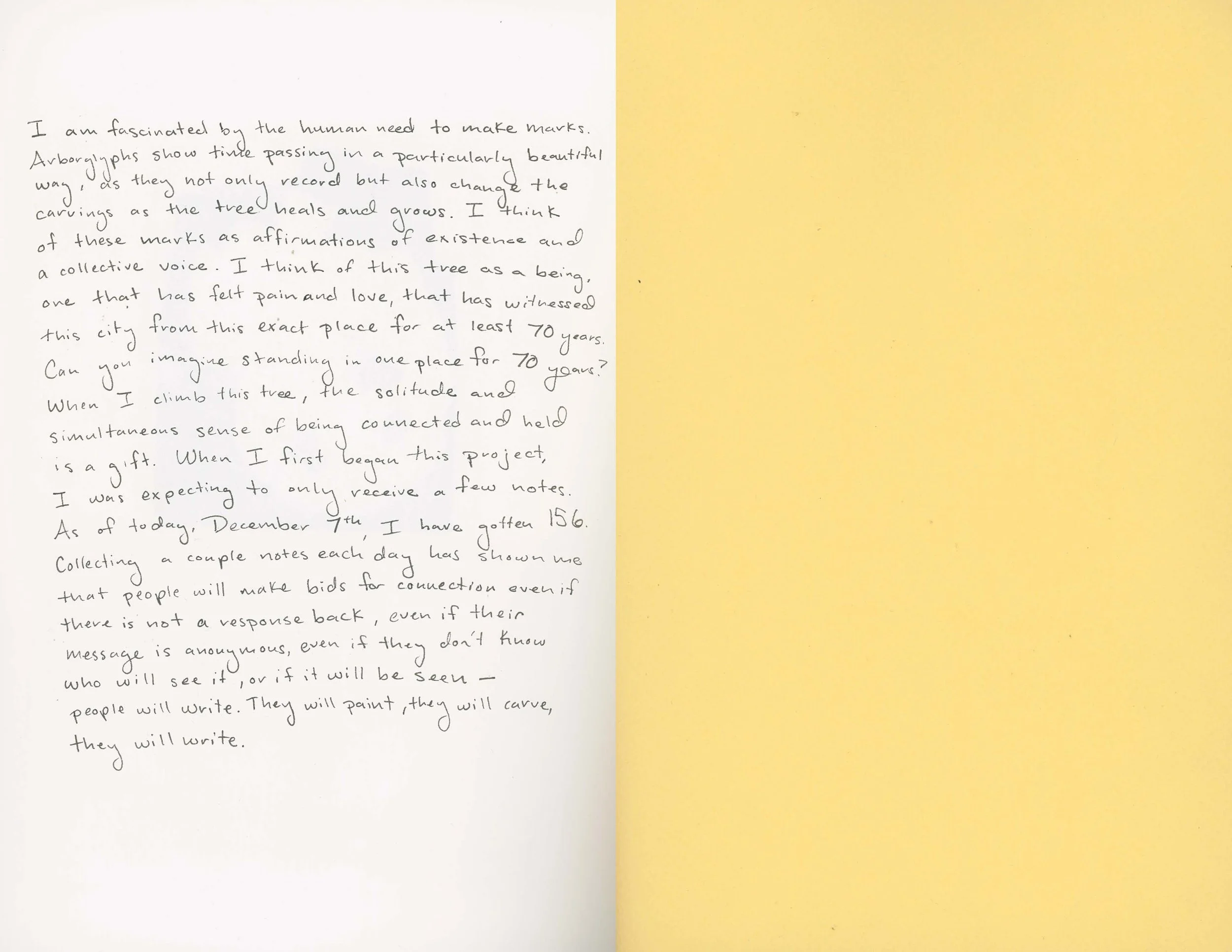ps_ThisTreeIsOurFriend_Cyanotypes_Final_Page_30.jpg