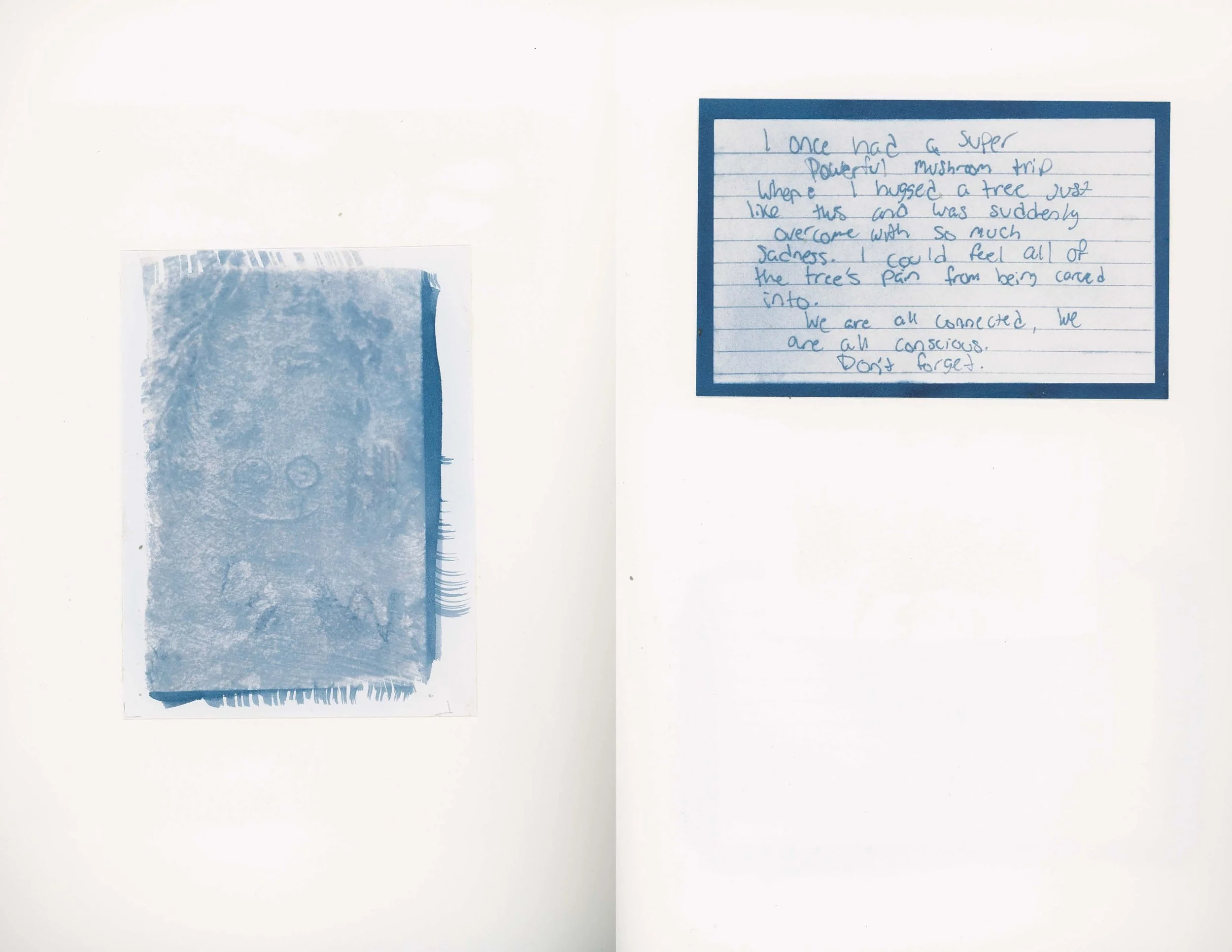 ps_ThisTreeIsOurFriend_Cyanotypes_Final_Page_28.jpg