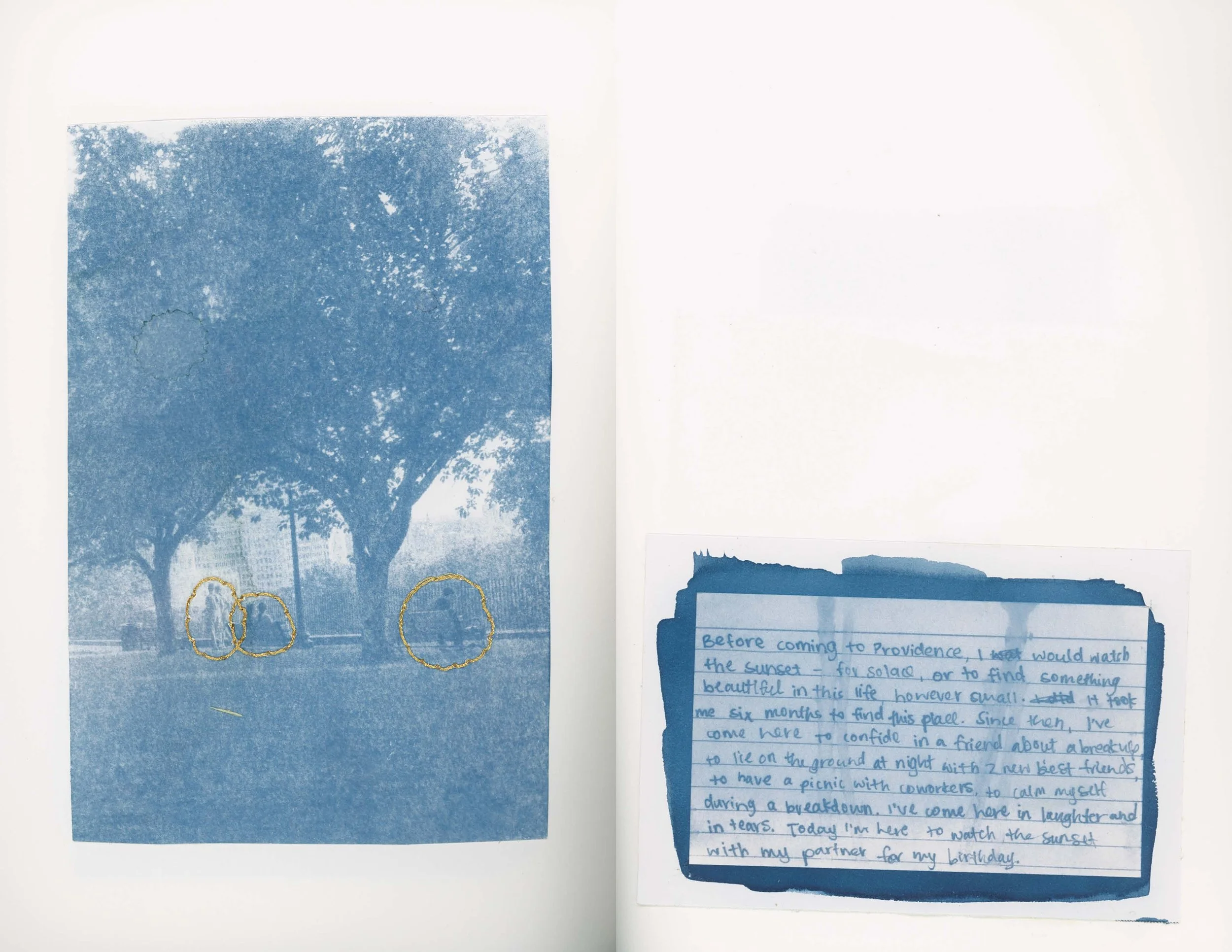 ps_ThisTreeIsOurFriend_Cyanotypes_Final_Page_24.jpg