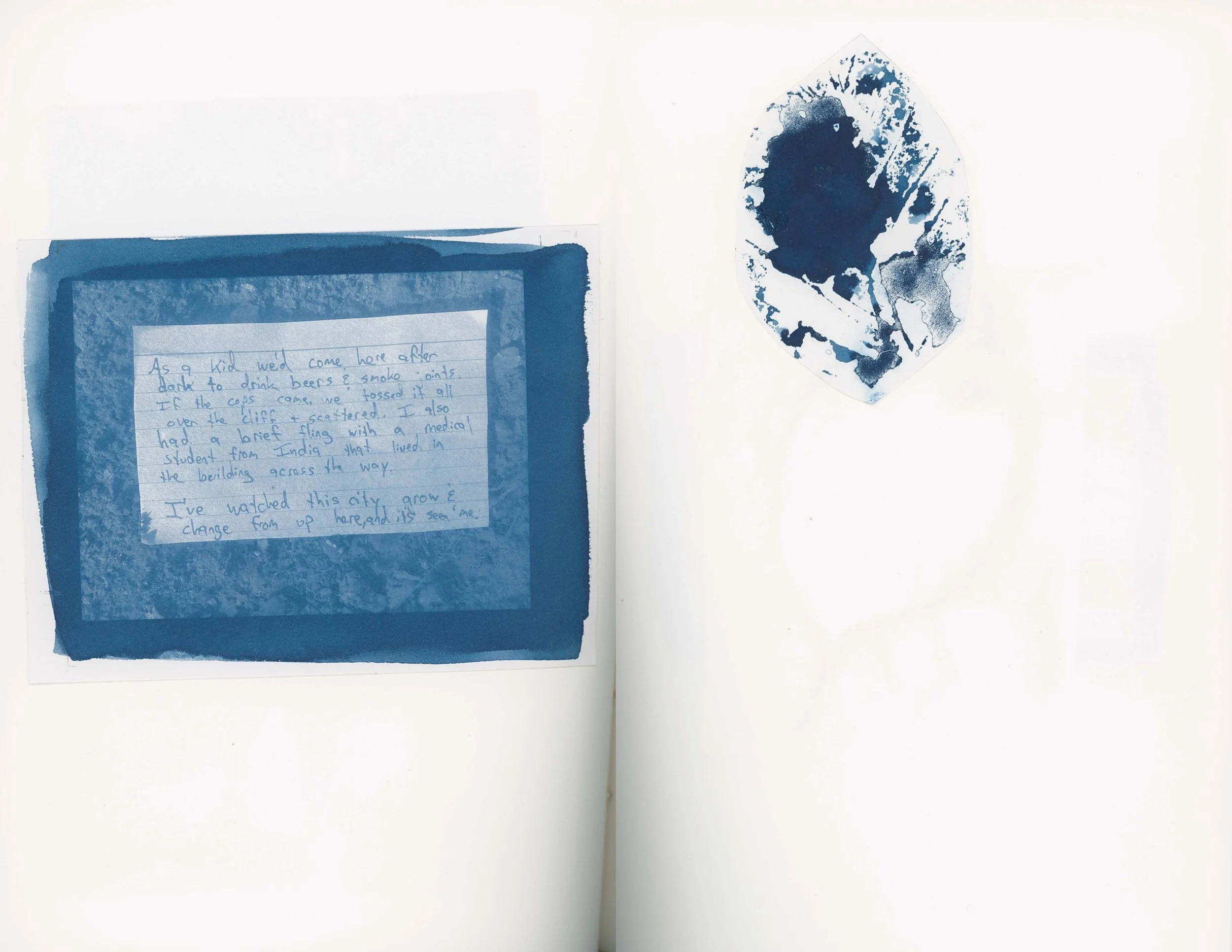ps_ThisTreeIsOurFriend_Cyanotypes_Final_Page_17.jpg