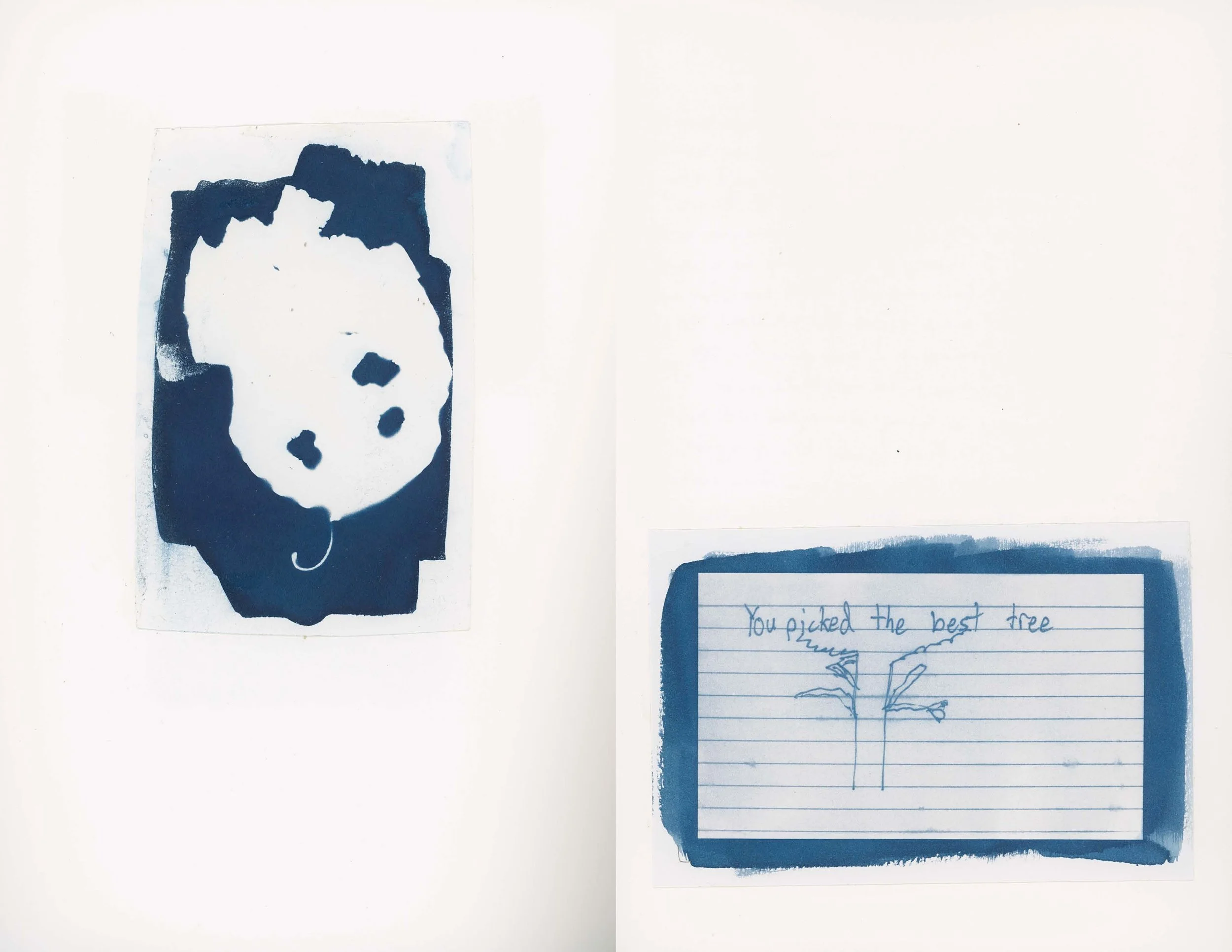 ps_ThisTreeIsOurFriend_Cyanotypes_Final_Page_29.jpg