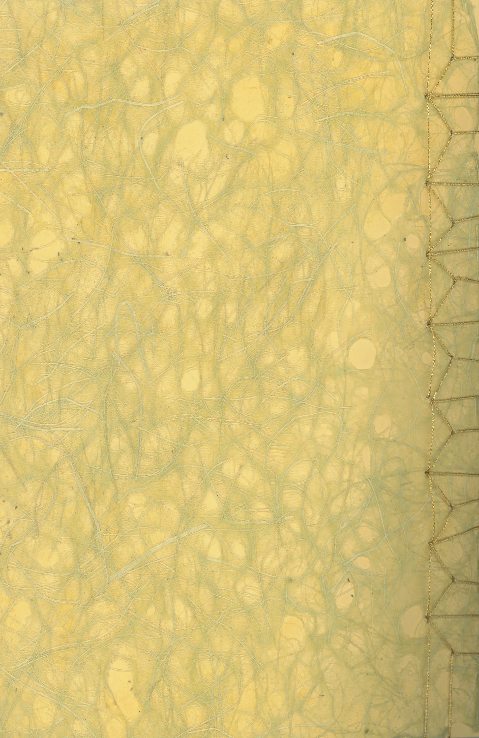 ps_ThisTreeIsOurFriend_Cyanotypes_Final_Page_31.jpg
