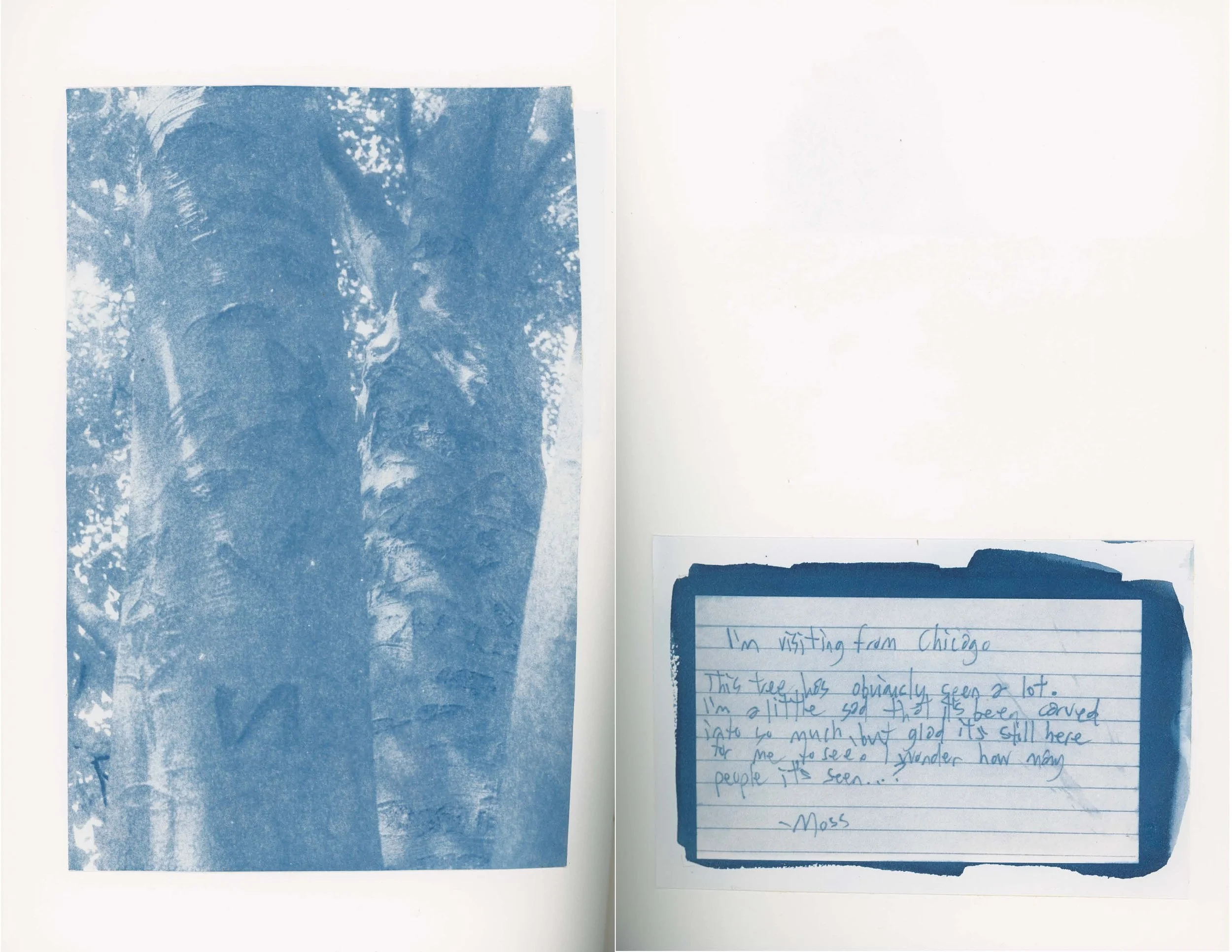 ps_ThisTreeIsOurFriend_Cyanotypes_Final_Page_16.jpg