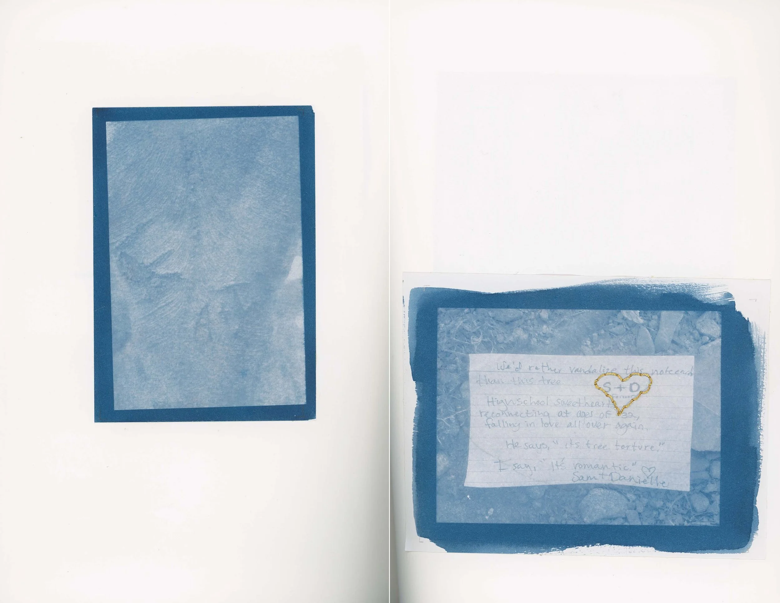ps_ThisTreeIsOurFriend_Cyanotypes_Final_Page_22.jpg
