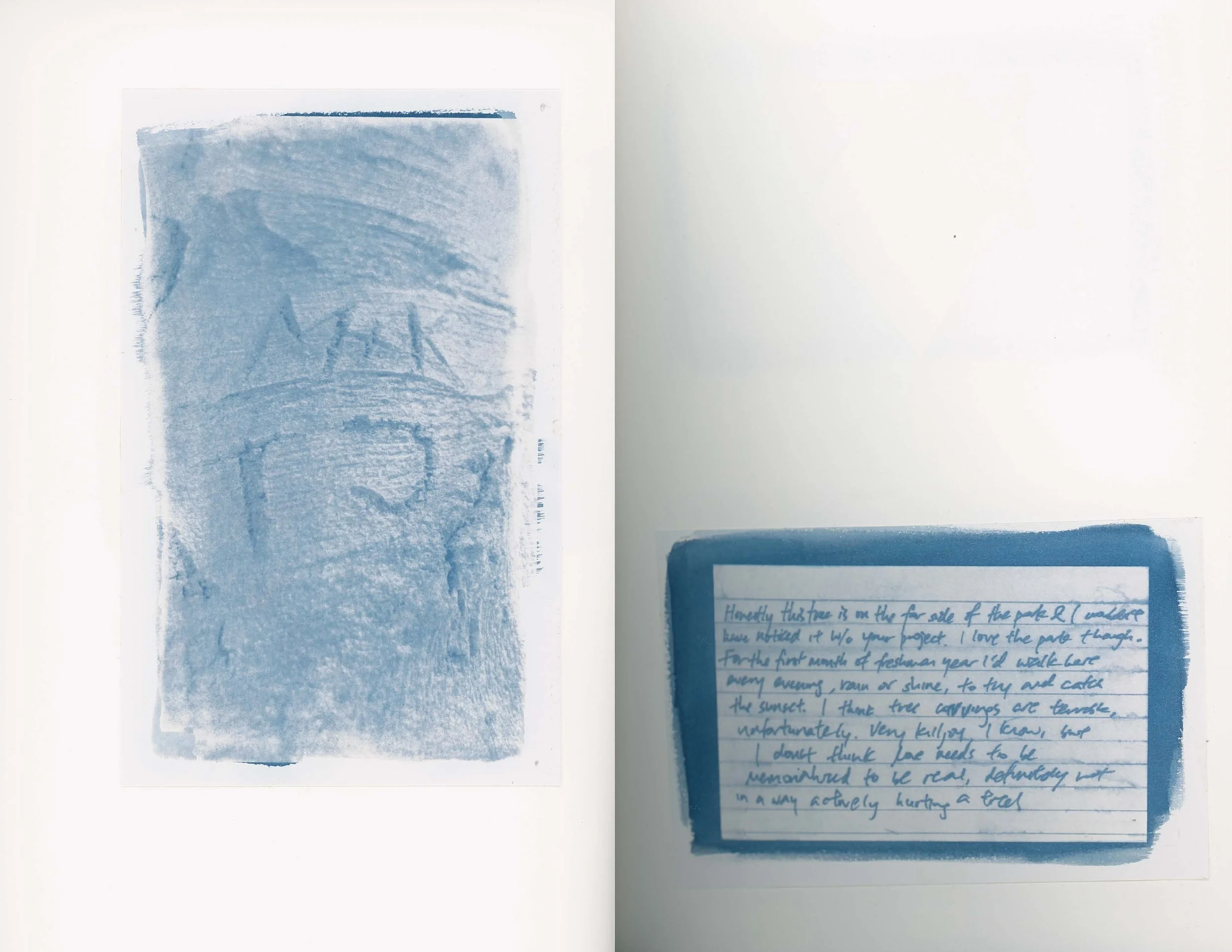 ps_ThisTreeIsOurFriend_Cyanotypes_Final_Page_05.jpg