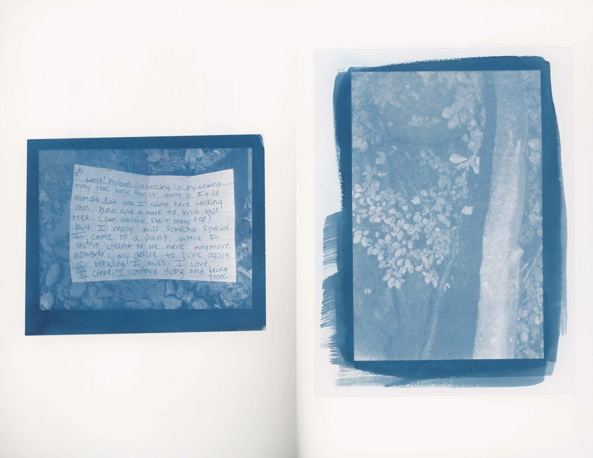 ps_ThisTreeIsOurFriend_Cyanotypes_Final_Page_27.jpg