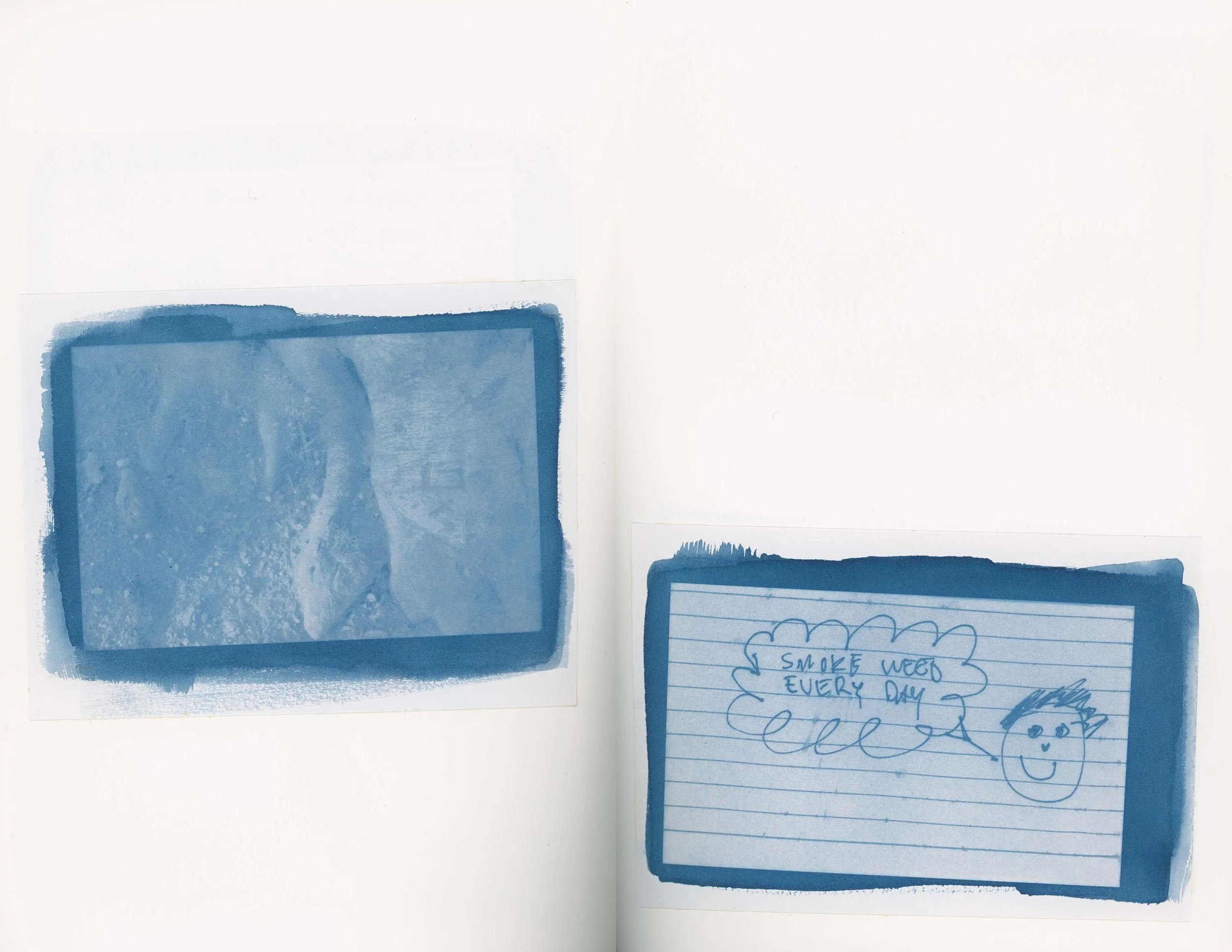ps_ThisTreeIsOurFriend_Cyanotypes_Final_Page_20.jpg