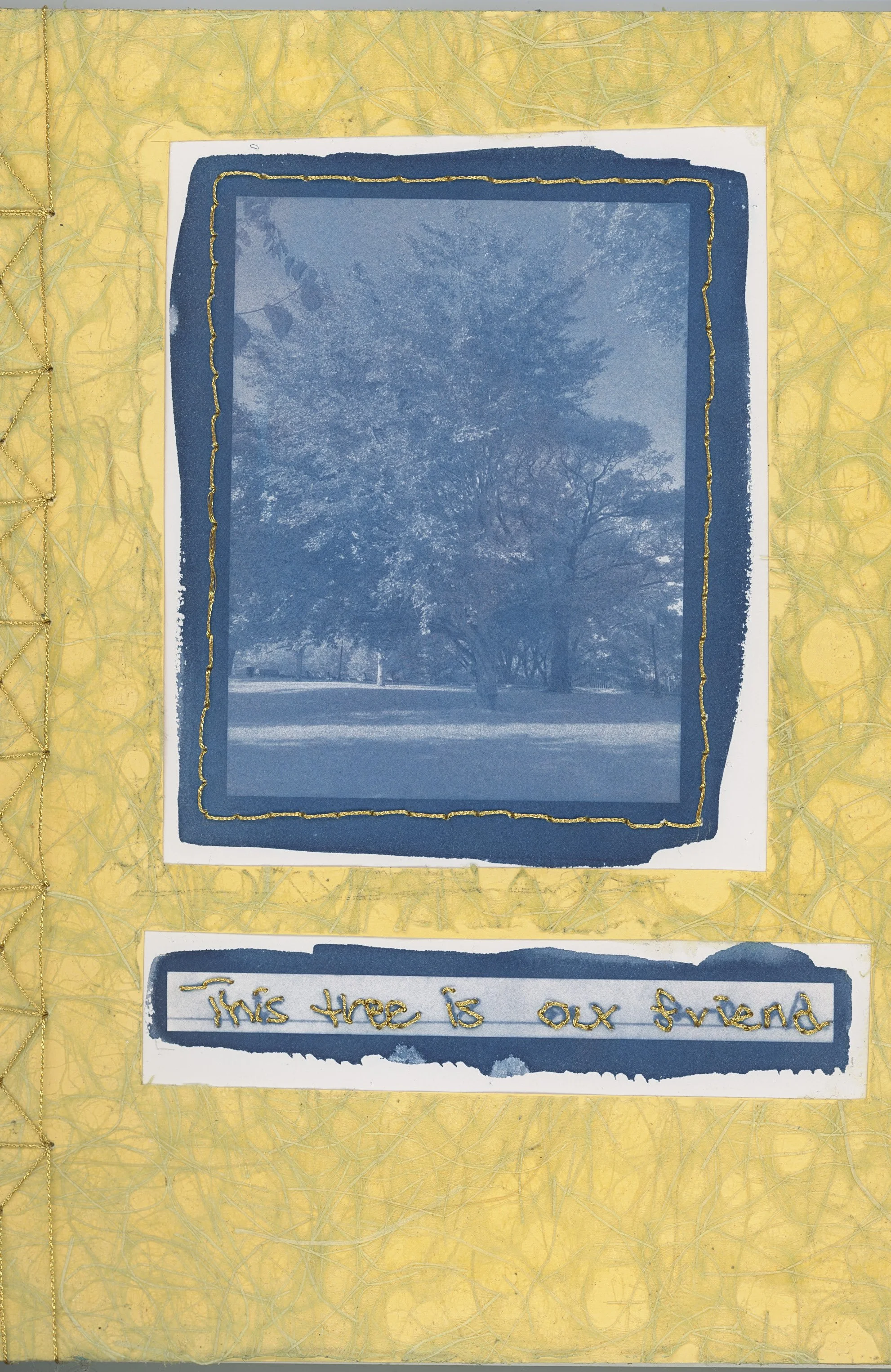 ps_ThisTreeIsOurFriend_Cyanotypes_Final_Page_01.jpg