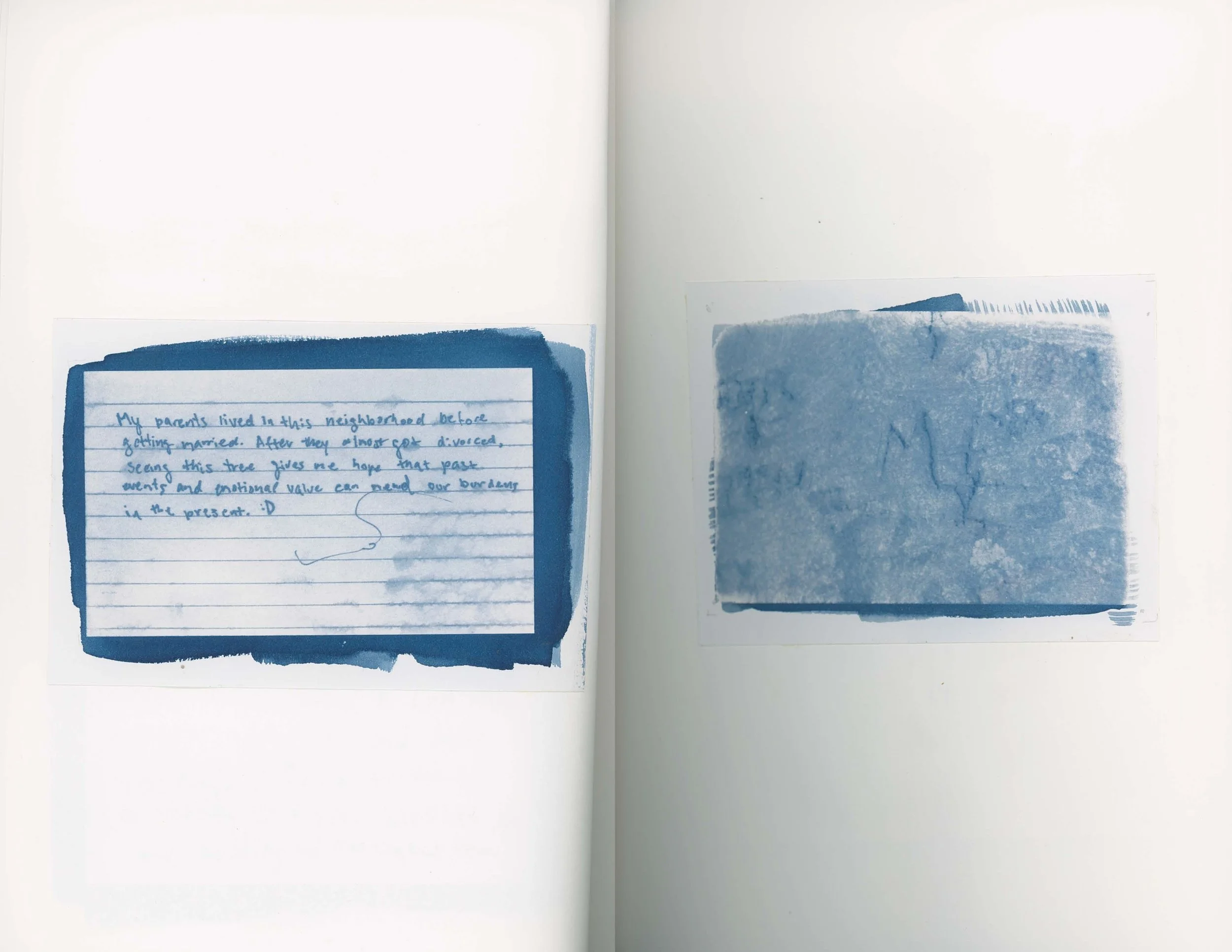 ps_ThisTreeIsOurFriend_Cyanotypes_Final_Page_09.jpg